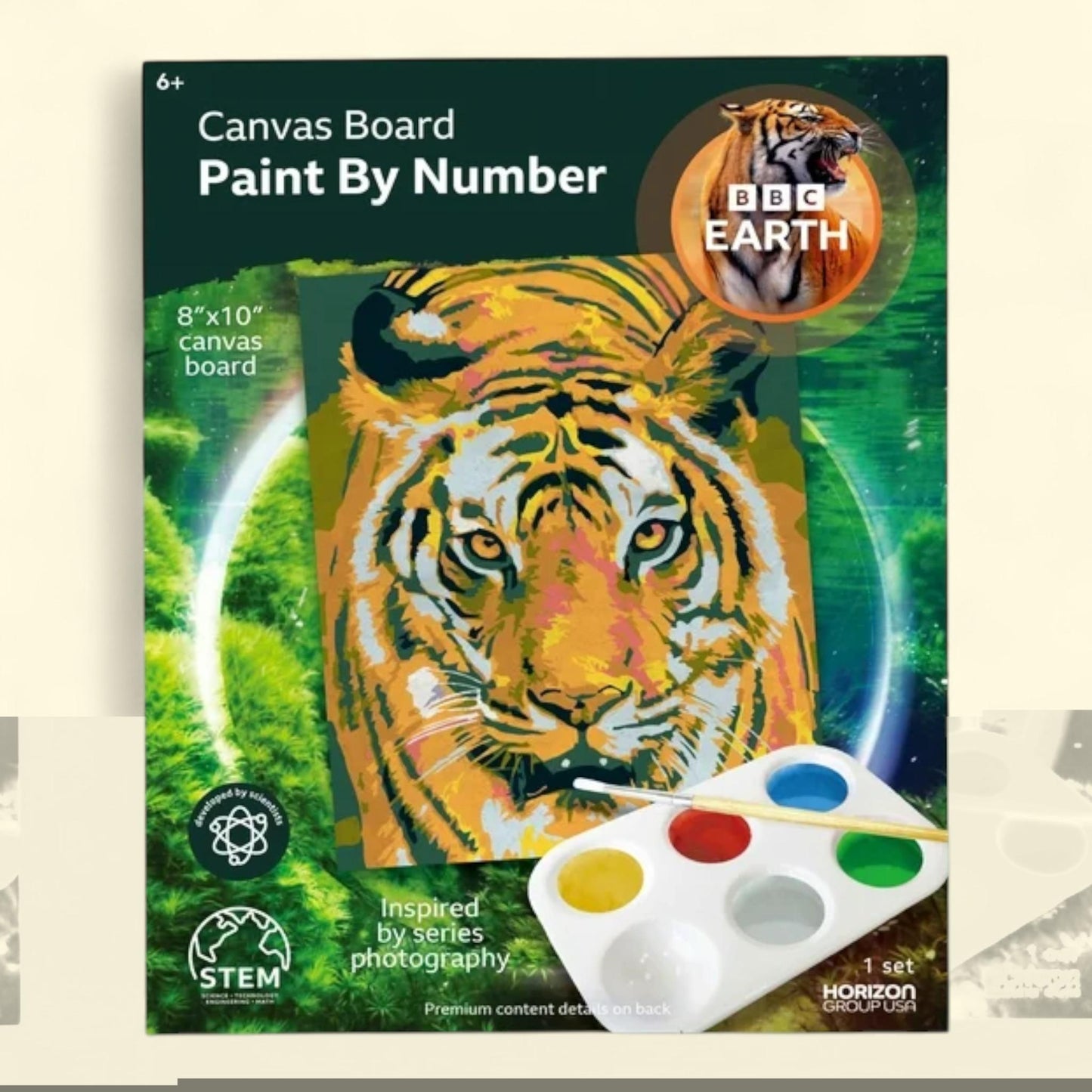 BBC Earth Canvas Board Paint by Numbers, Tiger, 1 ct