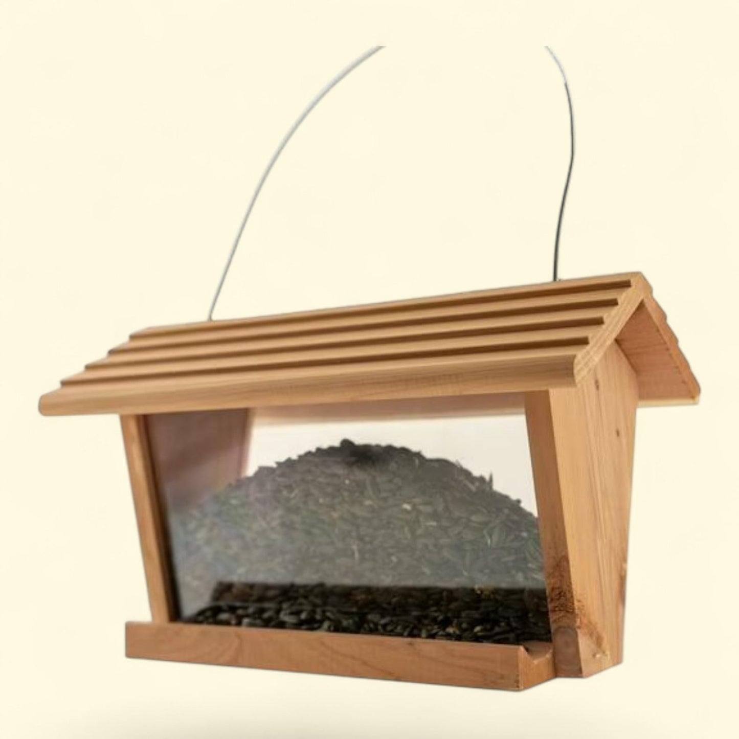 Pennington Natures Friend Hopper Bird Feeder, 3 lb