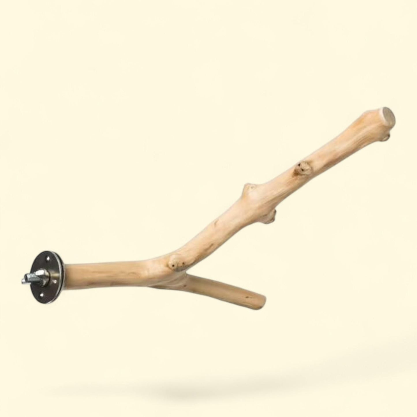 Prevue Pet Products Y-Branch Coffea Wood Bird Perch, 9 inch — authentic US product shipped worldwide by Treatspree