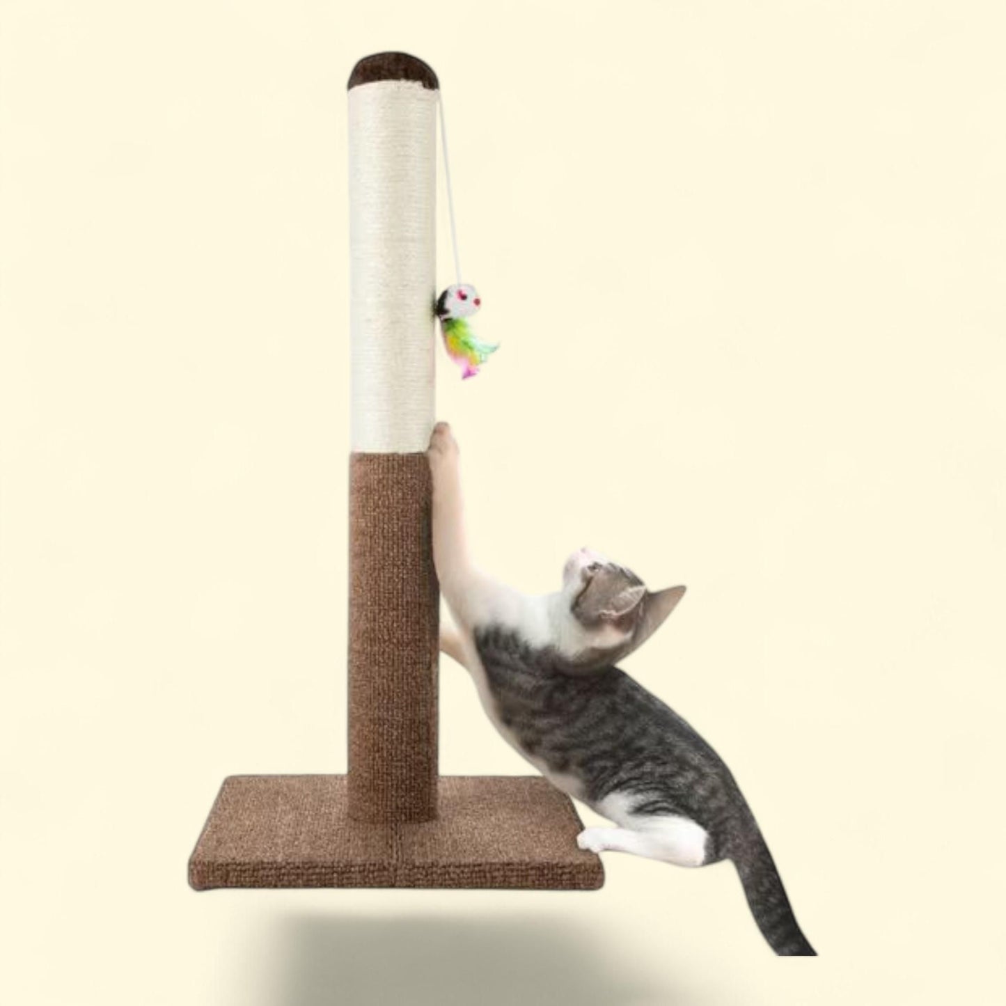 PETMAKER Cat Scratching Post, 24.5 Inch — authentic US product shipped worldwide by Treatspree
