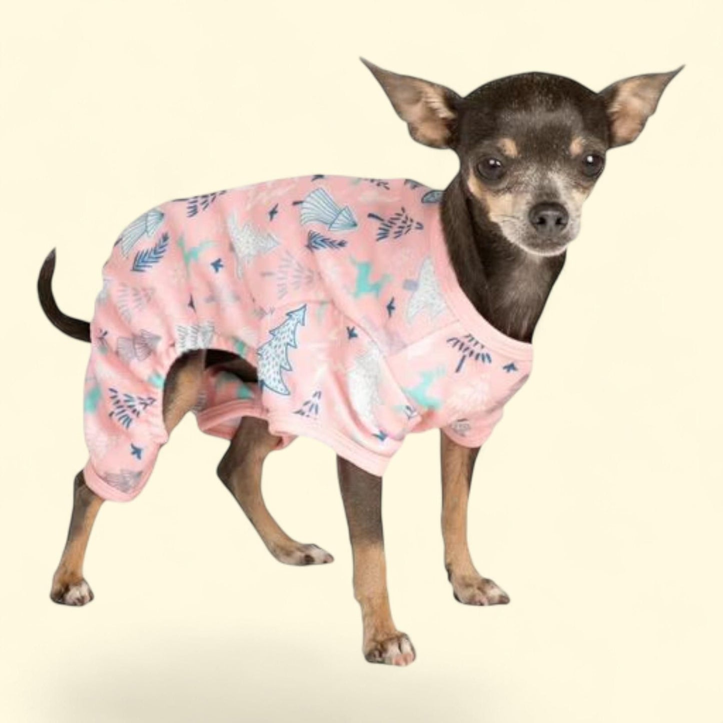 Vibrant Life, Pet Pajama, Pink, XS — authentic US product shipped worldwide by Treatspree
