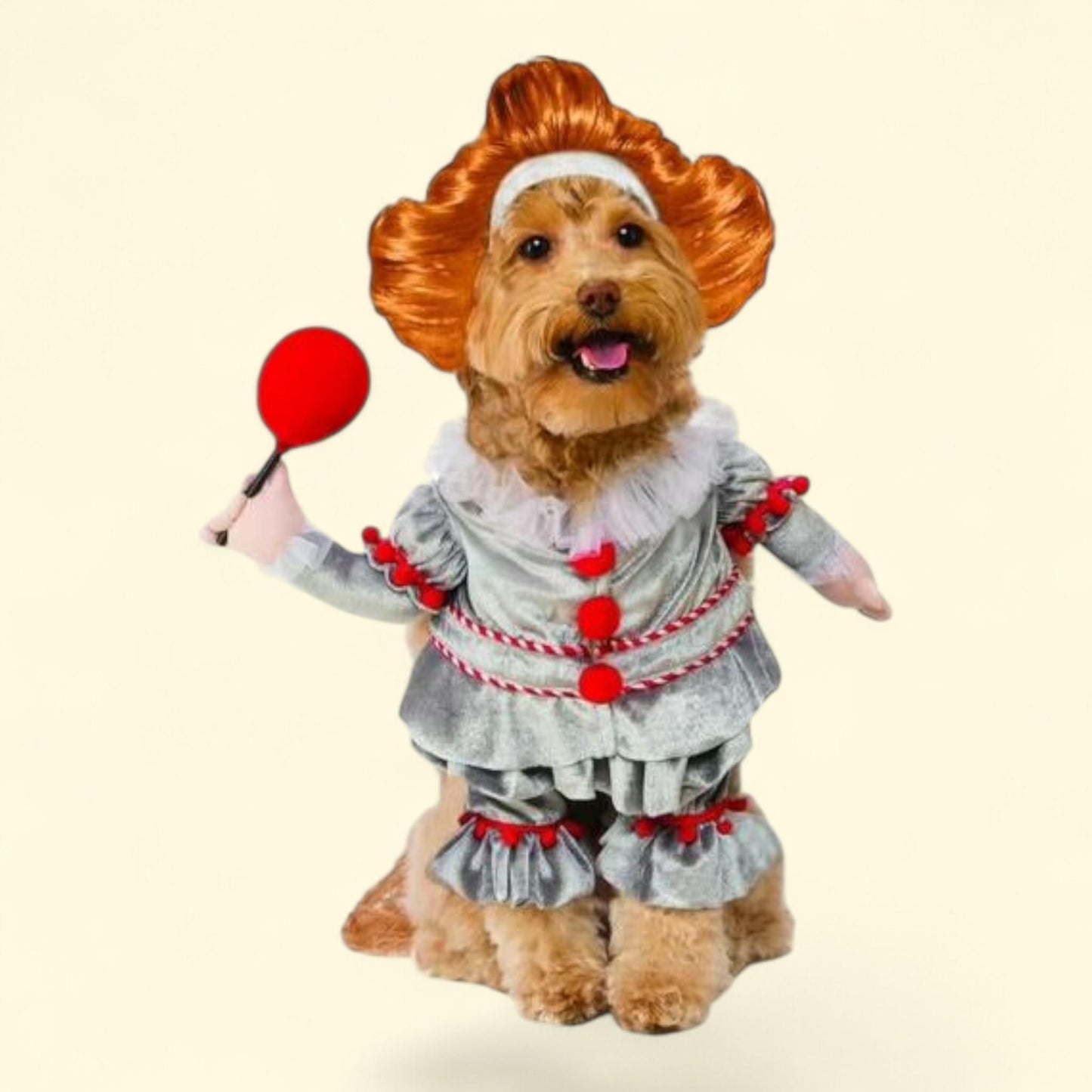 Rubies Pennywise Walking Pet Costume, Medium — authentic US product shipped worldwide by Treatspree
