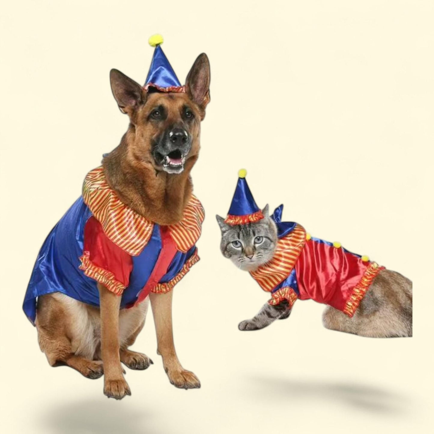 Vibrant Life Dog & Cat Costume: Clown, Size Small — authentic US product shipped worldwide by Treatspree