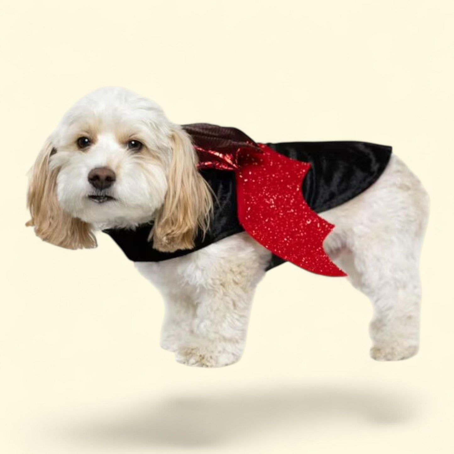 Vibrant Life Dog Costume and Cat Costume: Vampire, Size Small — authentic US product shipped worldwide by Treatspree
