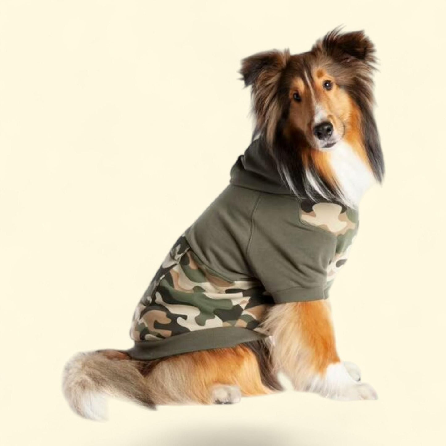 Coco + Rebel Pet Camo Fashion Hoodie, Large — authentic US product shipped worldwide by Treatspree