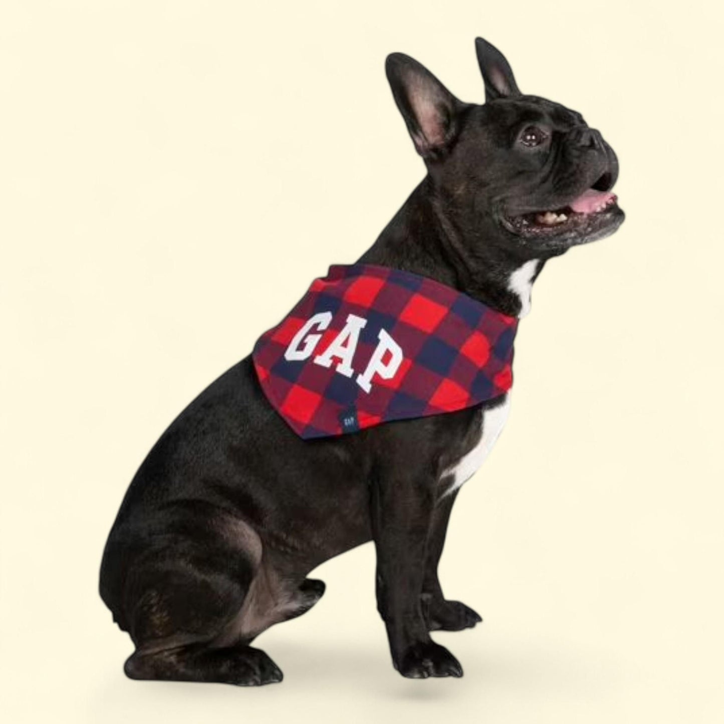 Gap Pet, Buffalo Plaid Dog Bandana, Red, Medium/Large