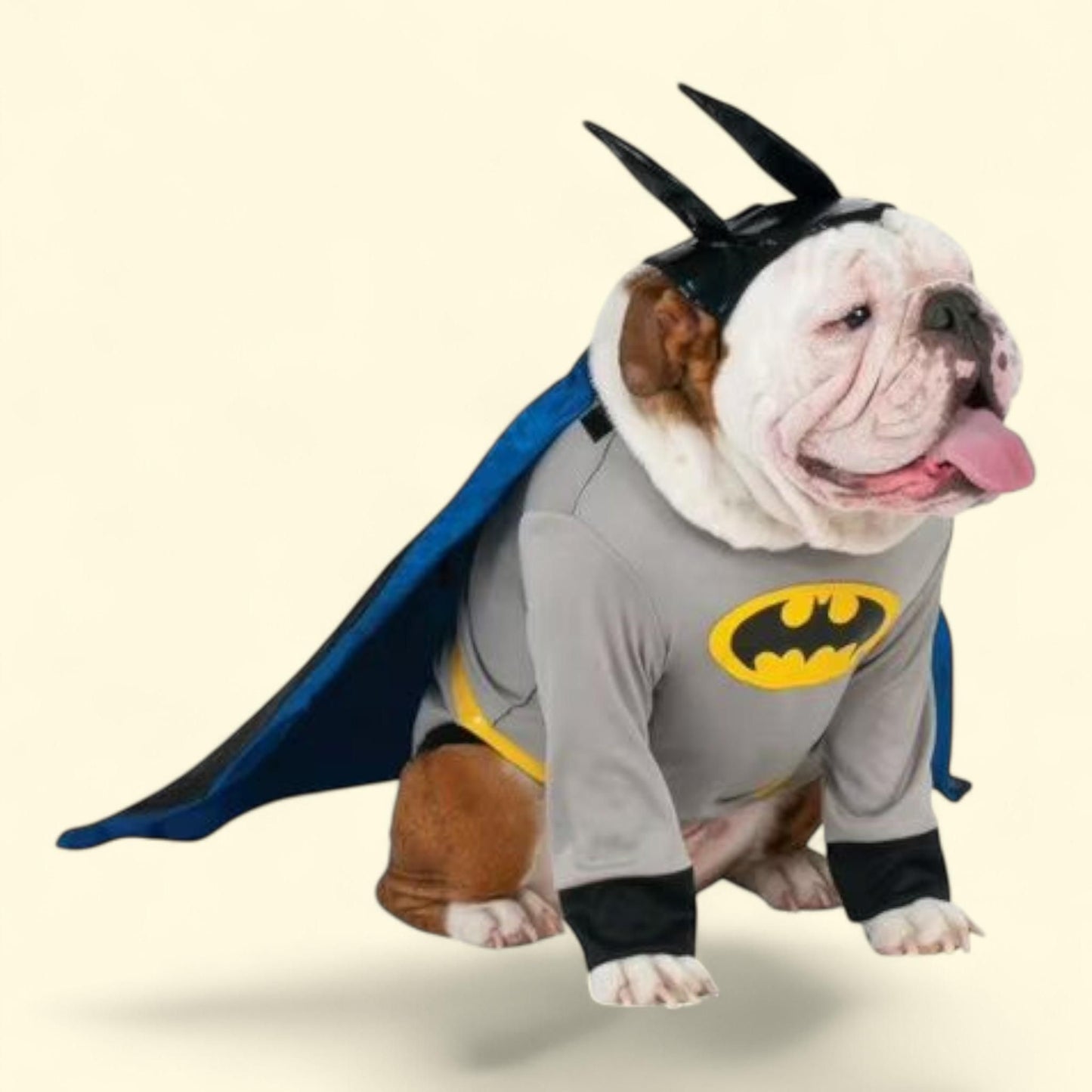 Rubies DC Comics Batman Pet Costume, 2XL