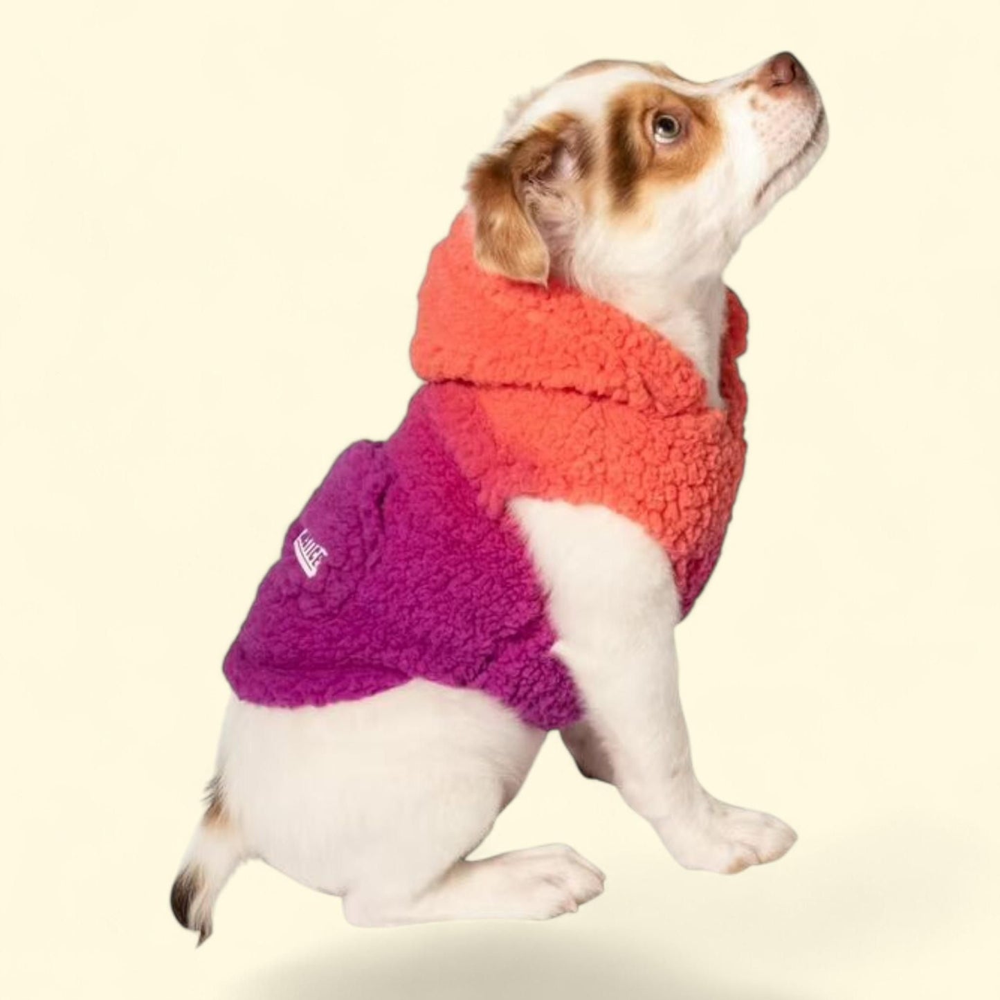 Justice Pet Ombre Sherpa Hoodie, PinkTonal, L — authentic US product shipped worldwide by Treatspree