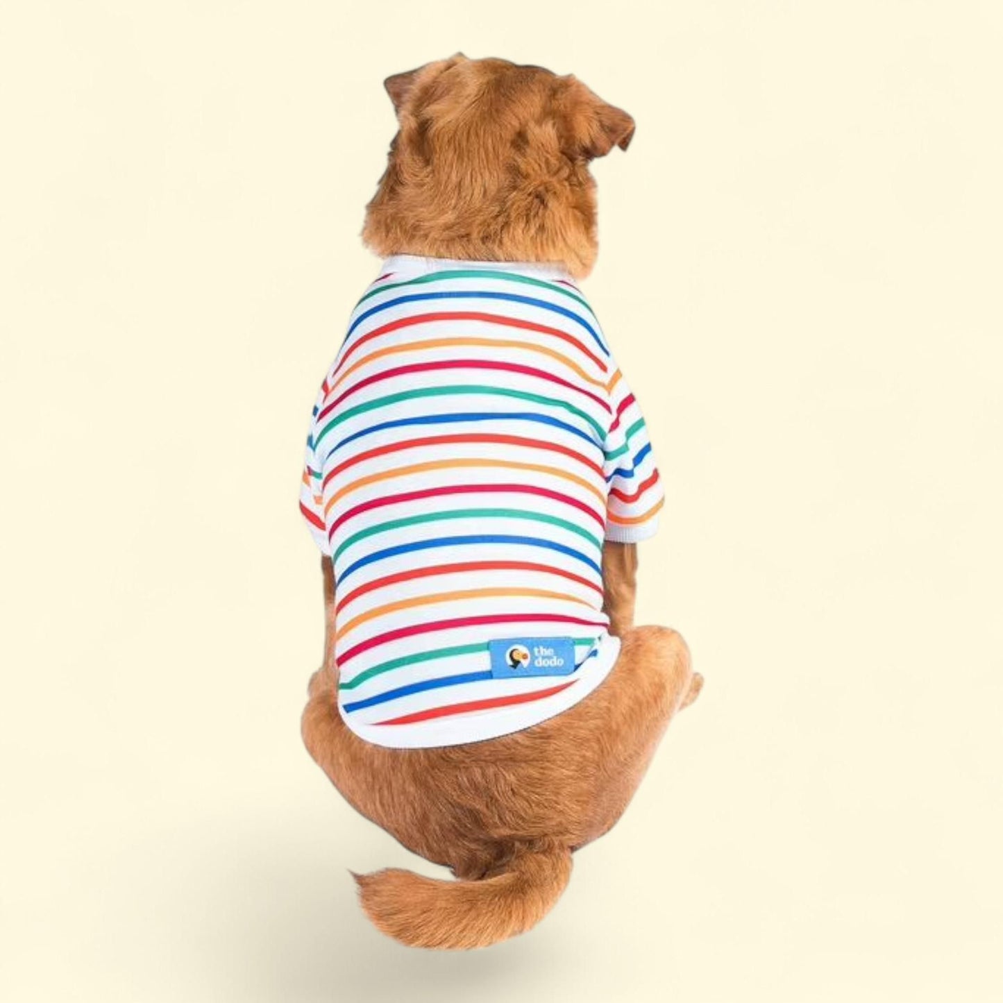 The Dodo Crewneck Sweatshirt for Dogs, Large