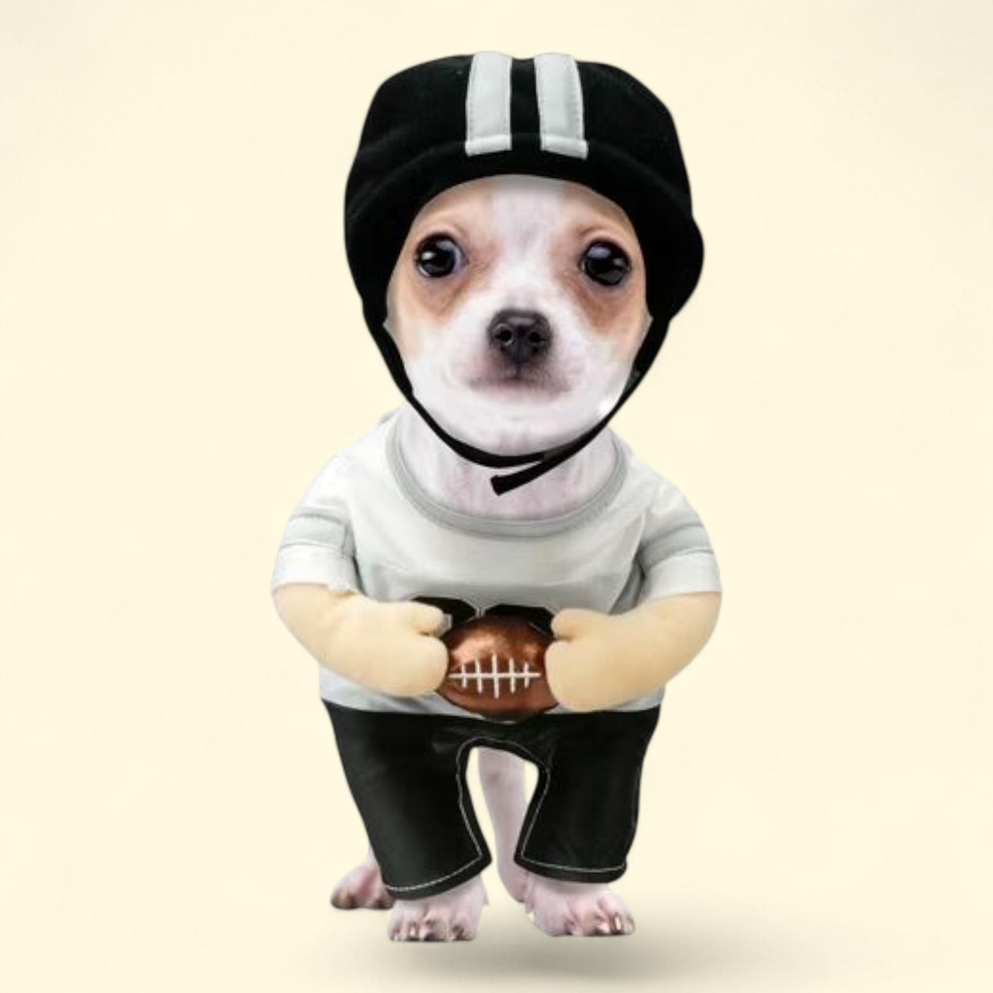 Best Furry Friends Costume, Football Player, Large