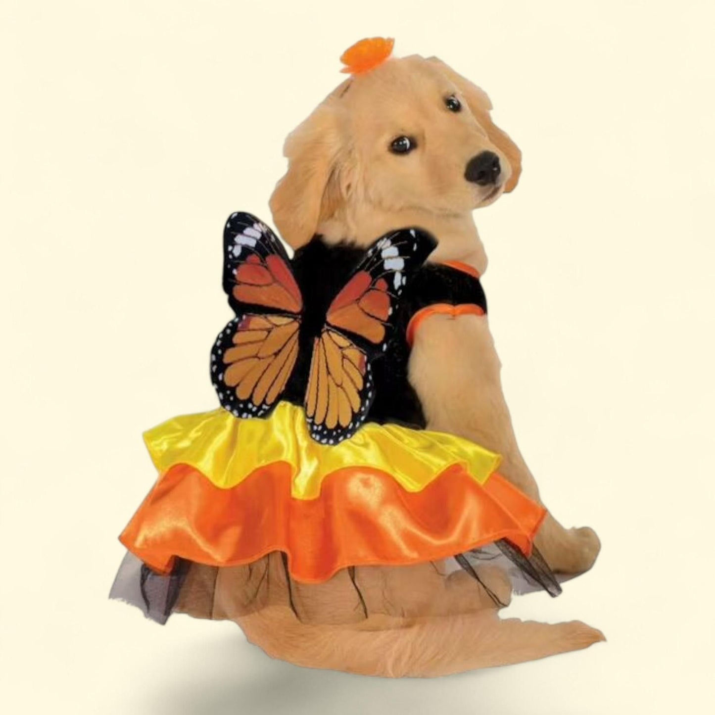 Rubies Monarch Butterfly Pet Costume, Small