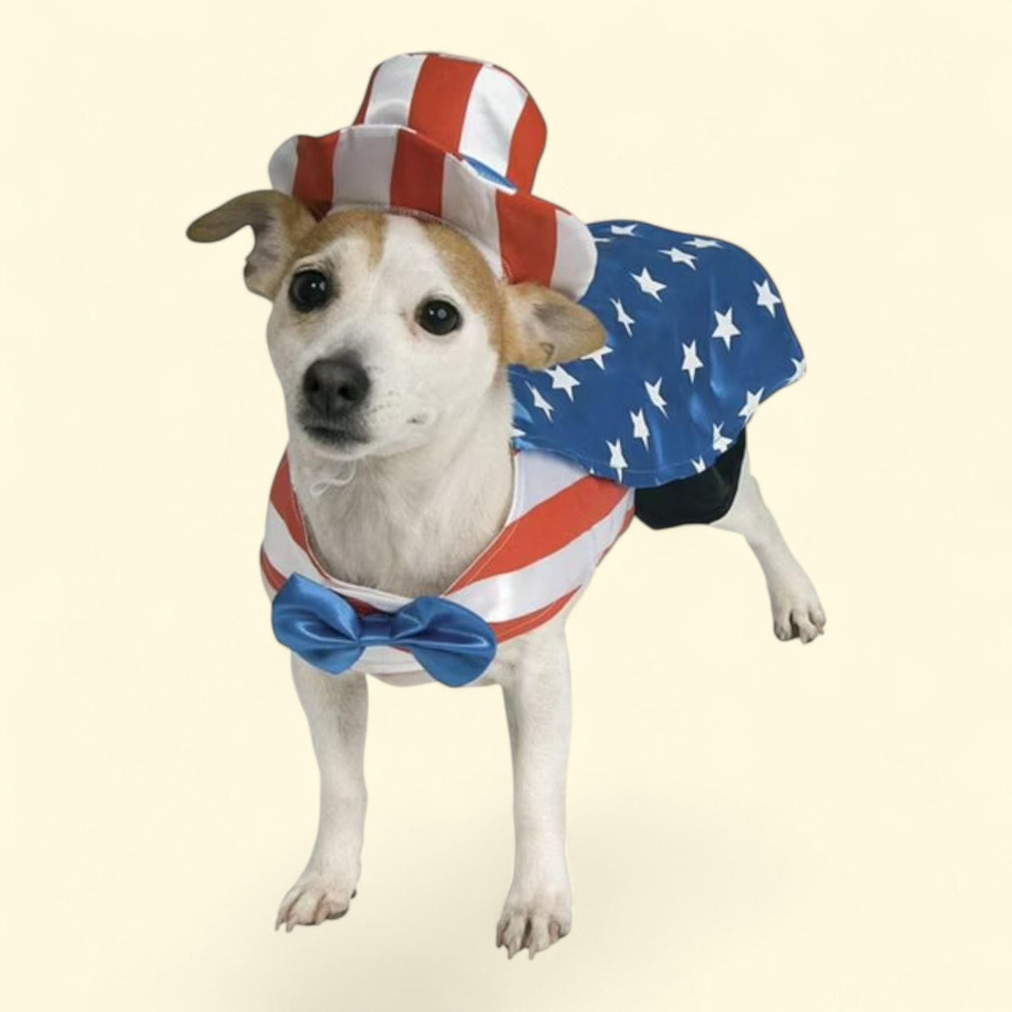 Uncle Sam Dog Costume, Medium — authentic US product shipped worldwide by Treatspree