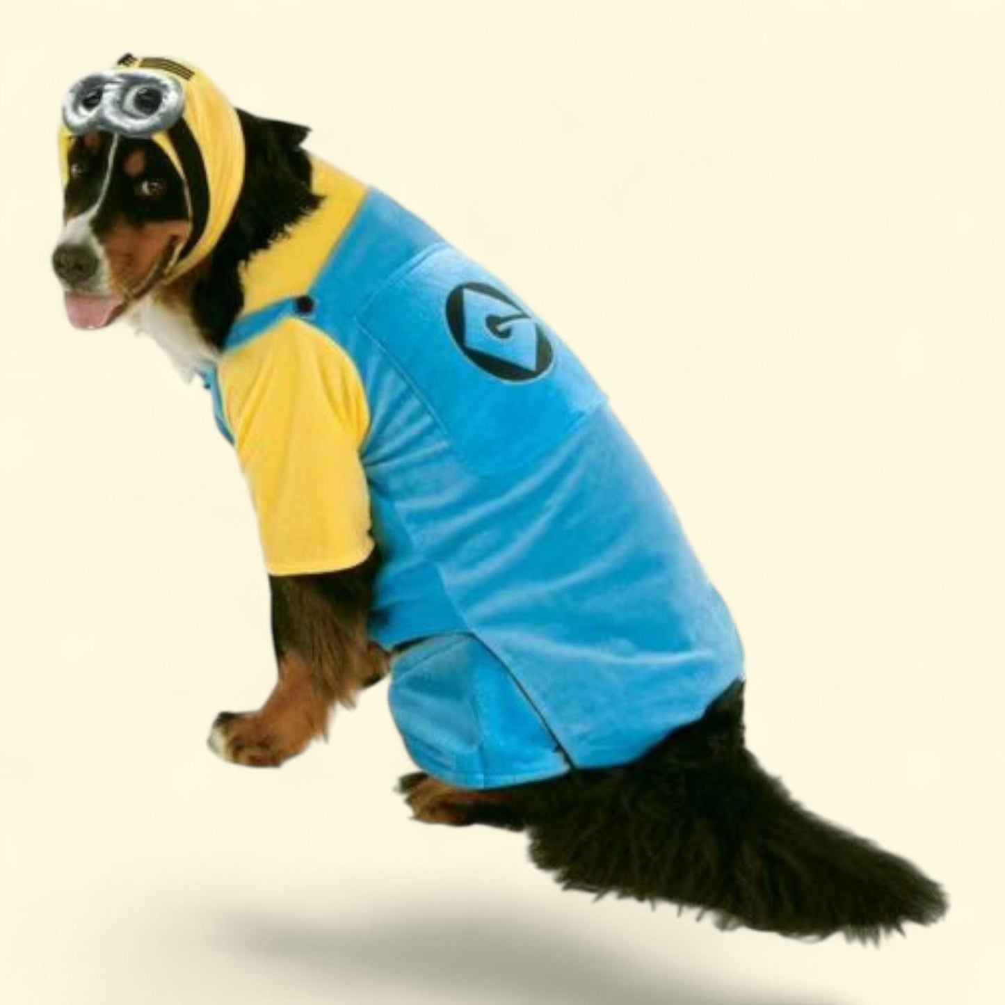 Rubies Despicable Me Minion Pet Costume, 3XL