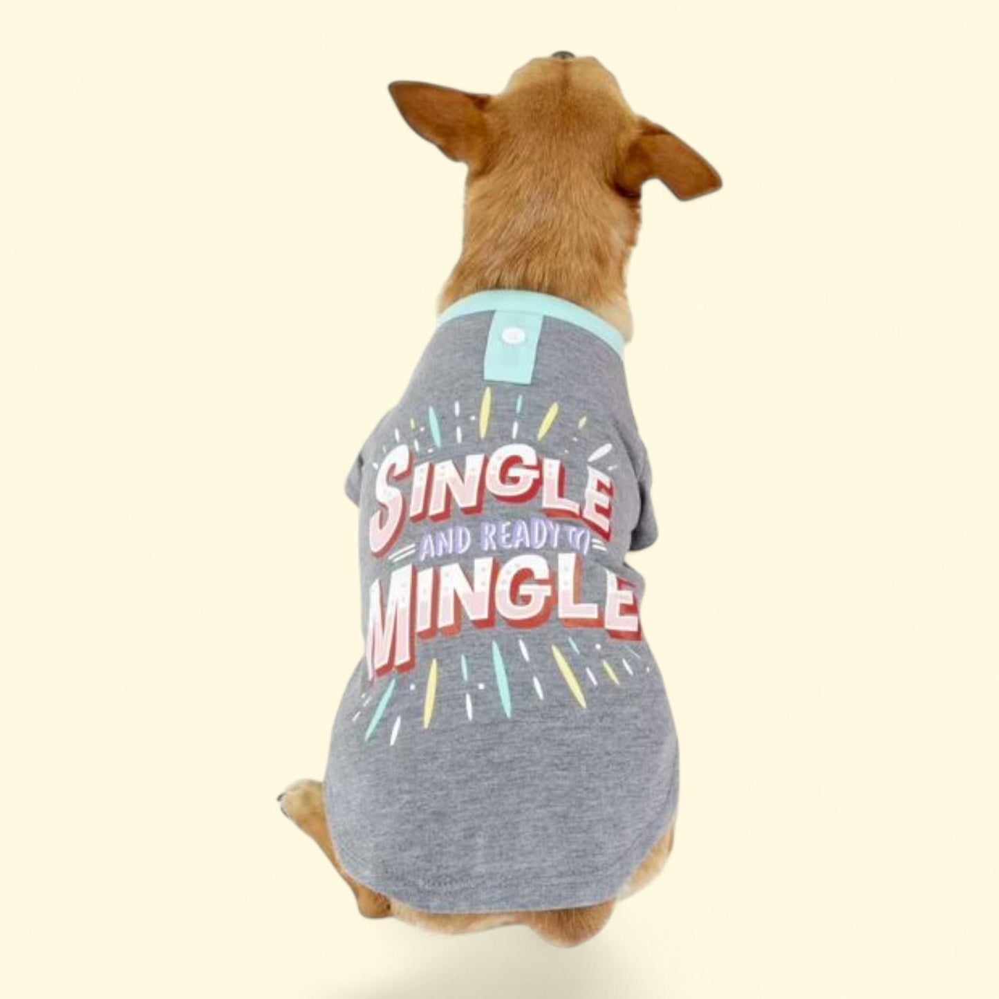 Vibrant Life Dog Tee, X-Small Gray — authentic US product shipped worldwide by Treatspree