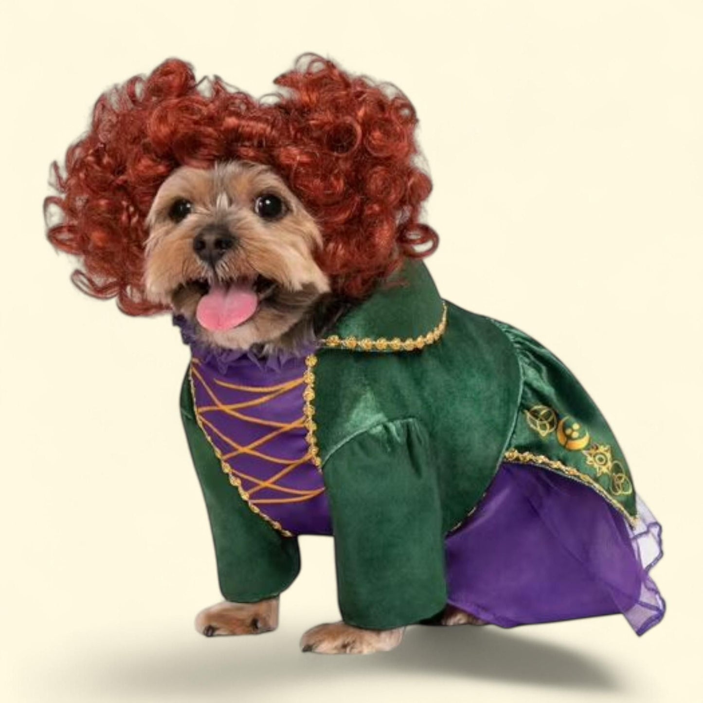 Rubies Hocus Pocus Winifred Sanderson Pet Costume, Large — authentic US product shipped worldwide by Treatspree