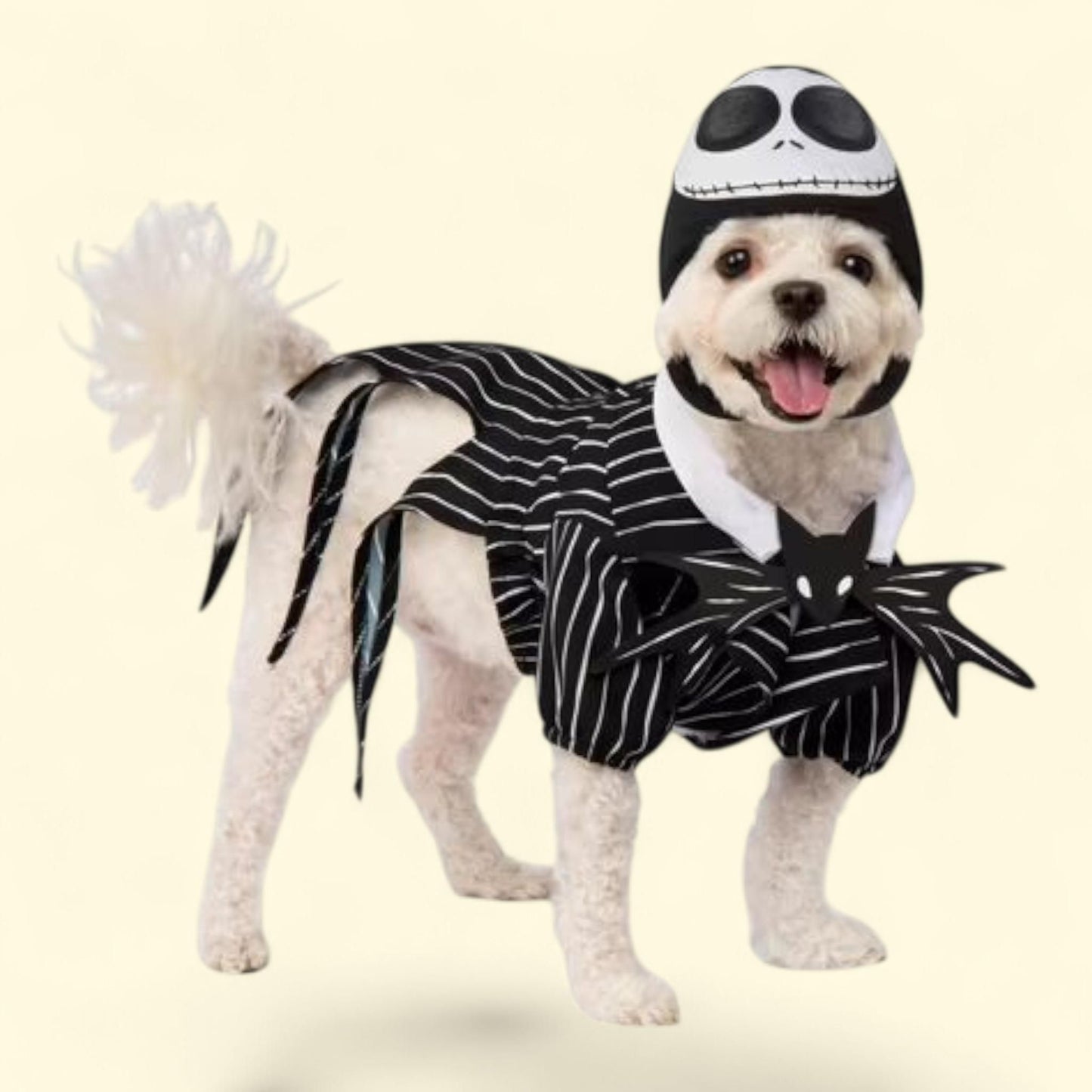 Rubies Jack Skellington Pet Costume, Small — authentic US product shipped worldwide by Treatspree