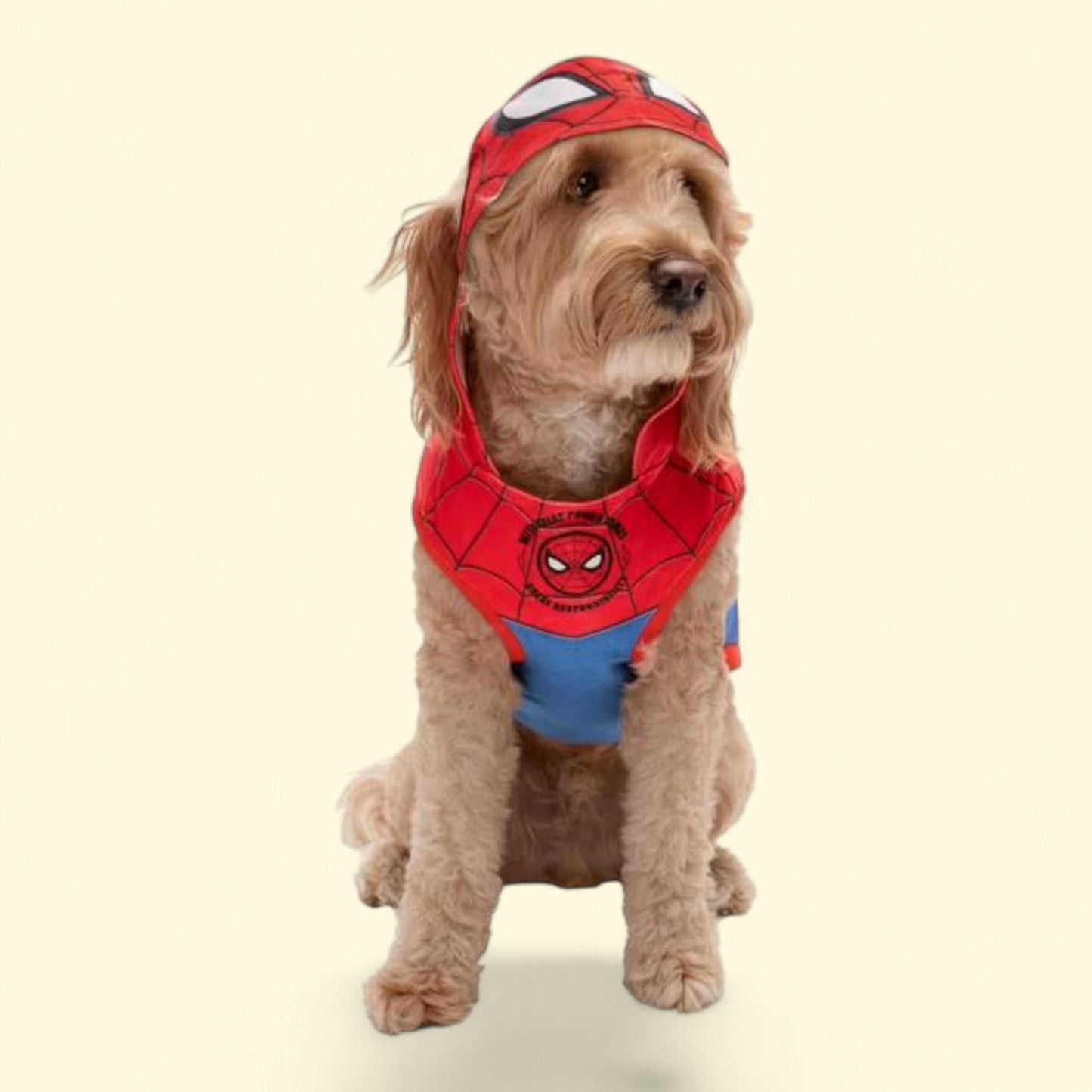 MARVEL Spider-Man Pet Hoodie, Large