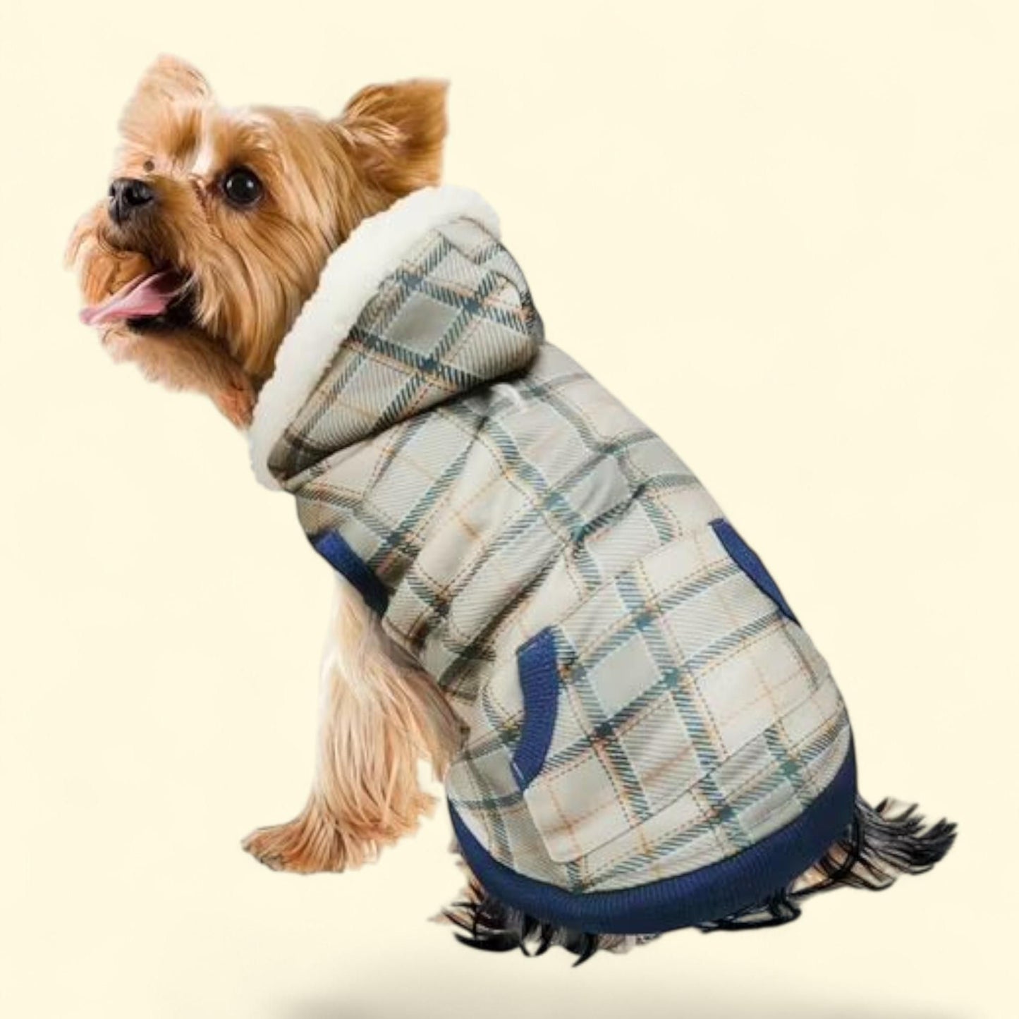 Best Furry Friends Hoodie, Harvest Plaid, Large