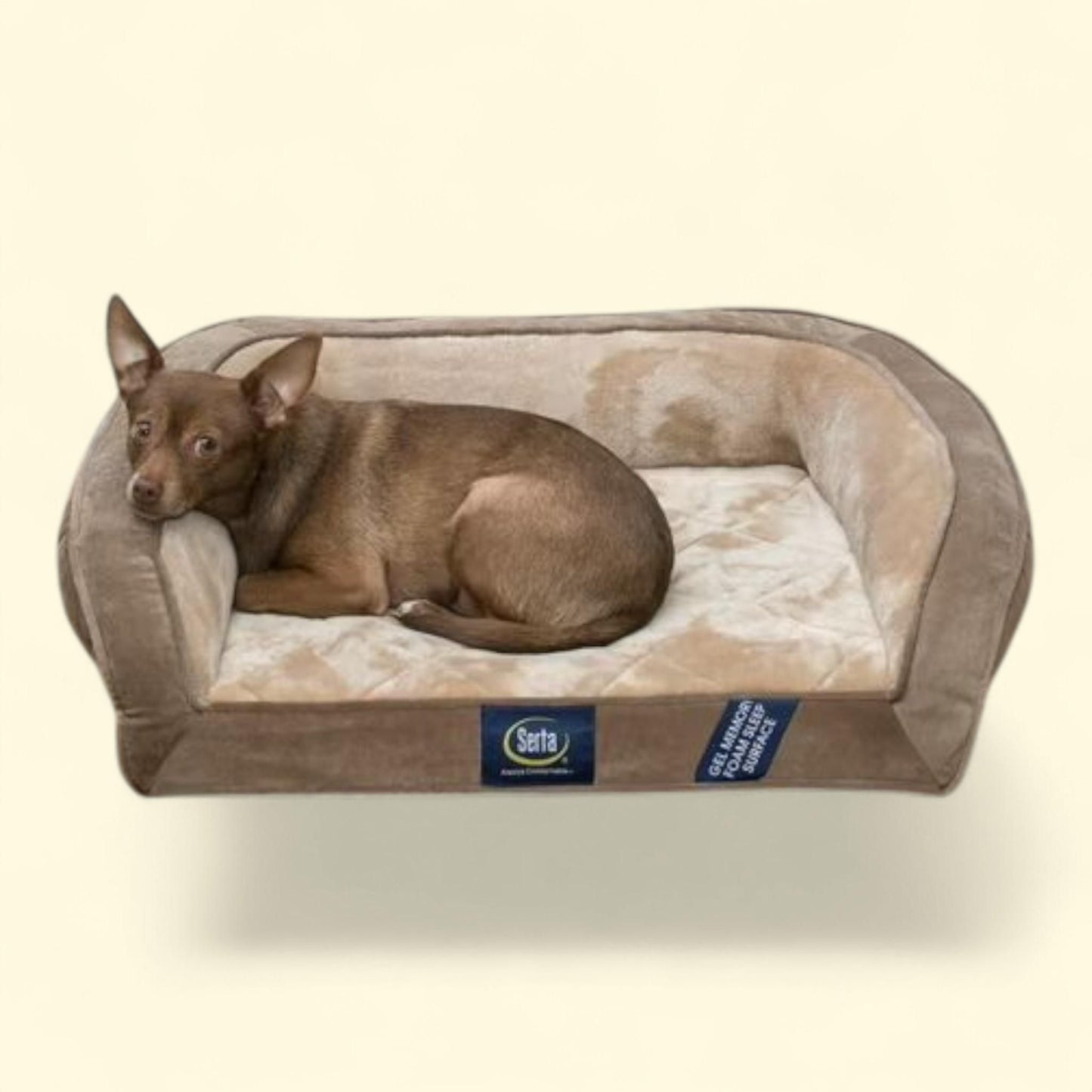 Serta Ortho Couch Dog Bed, Small Brown