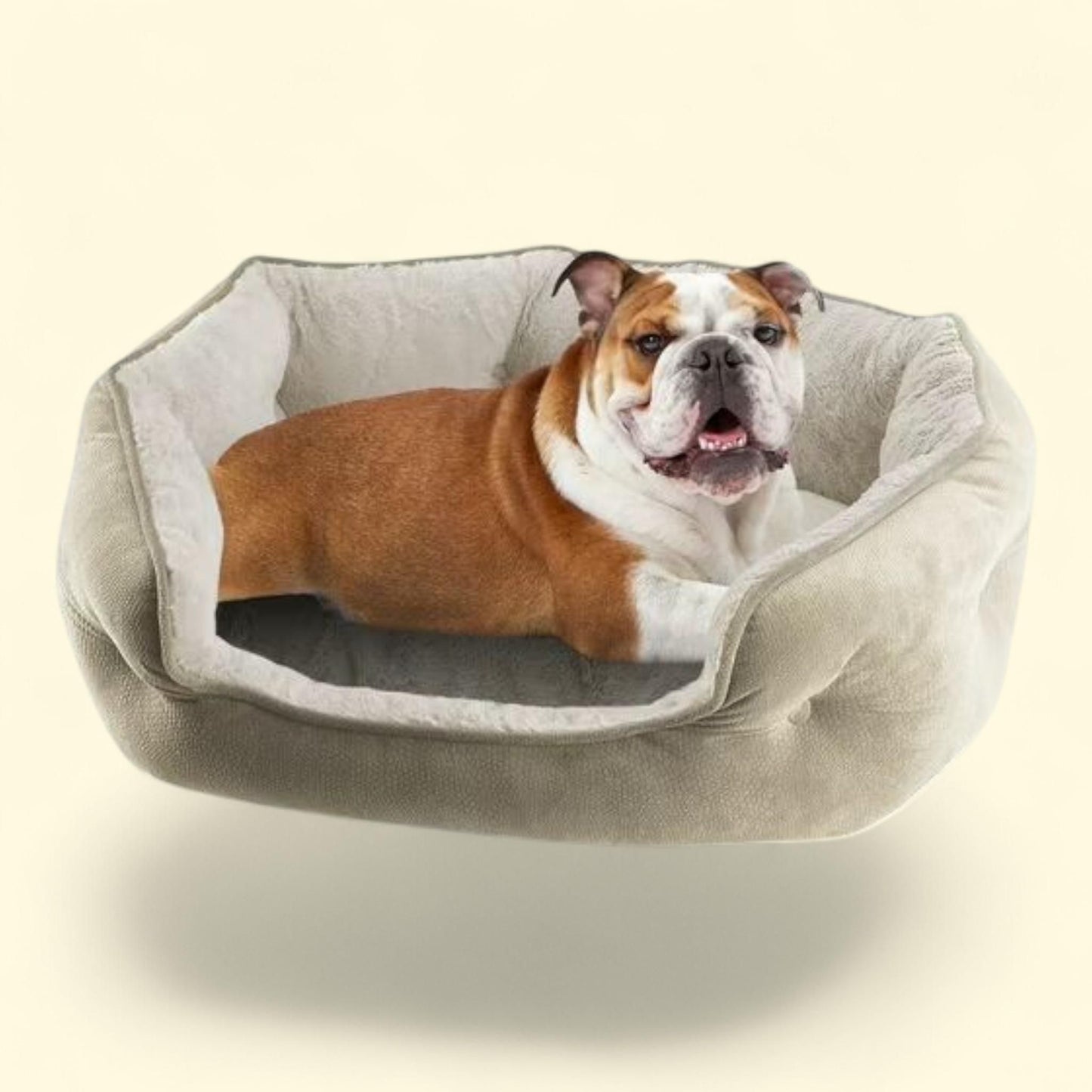 Arlee Cozy Oval Round Cuddler Pet Dog Bed, Medium/Large — authentic US product shipped worldwide by Treatspree