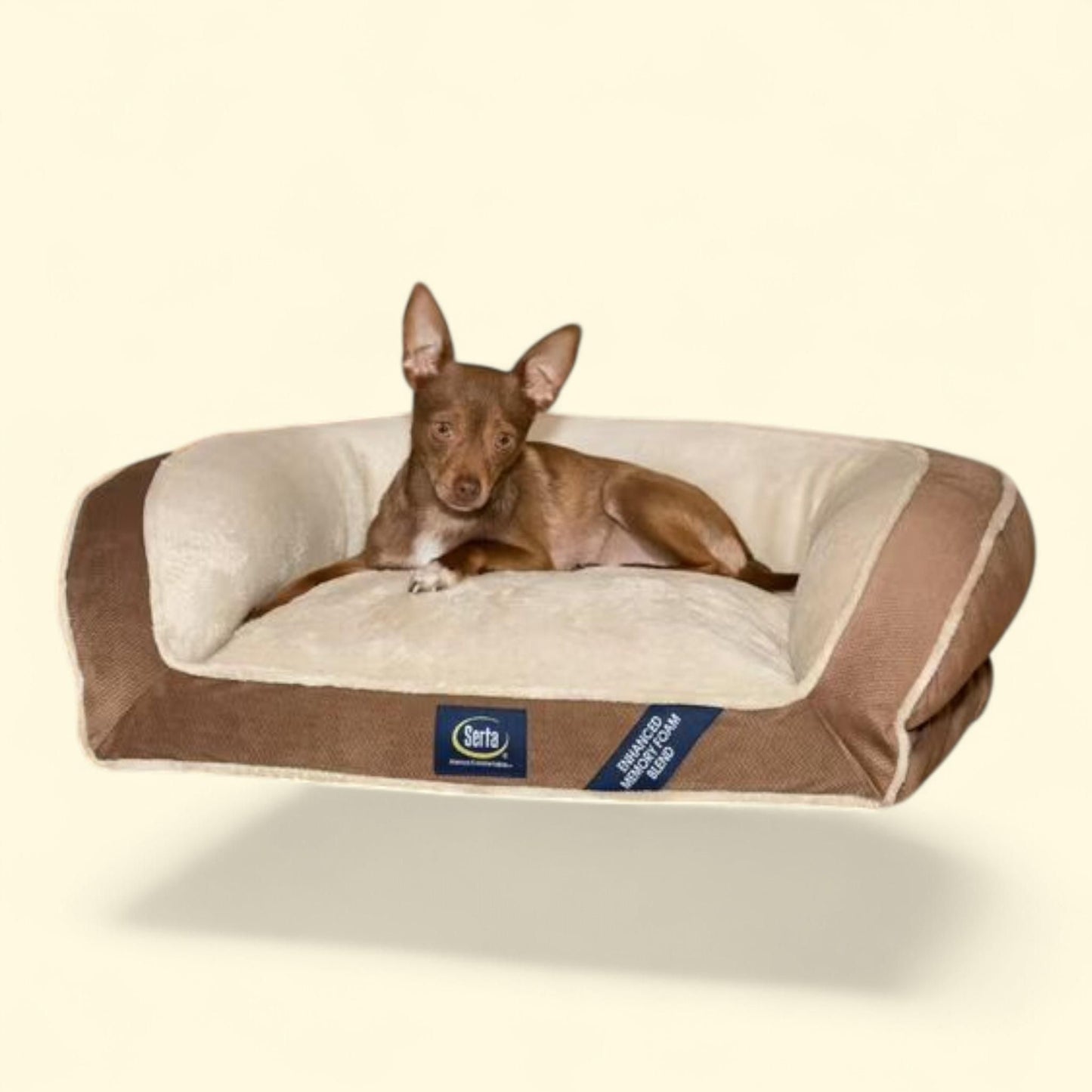 SertaPedic Memory Foam Mini Couch Dog Bed, Small