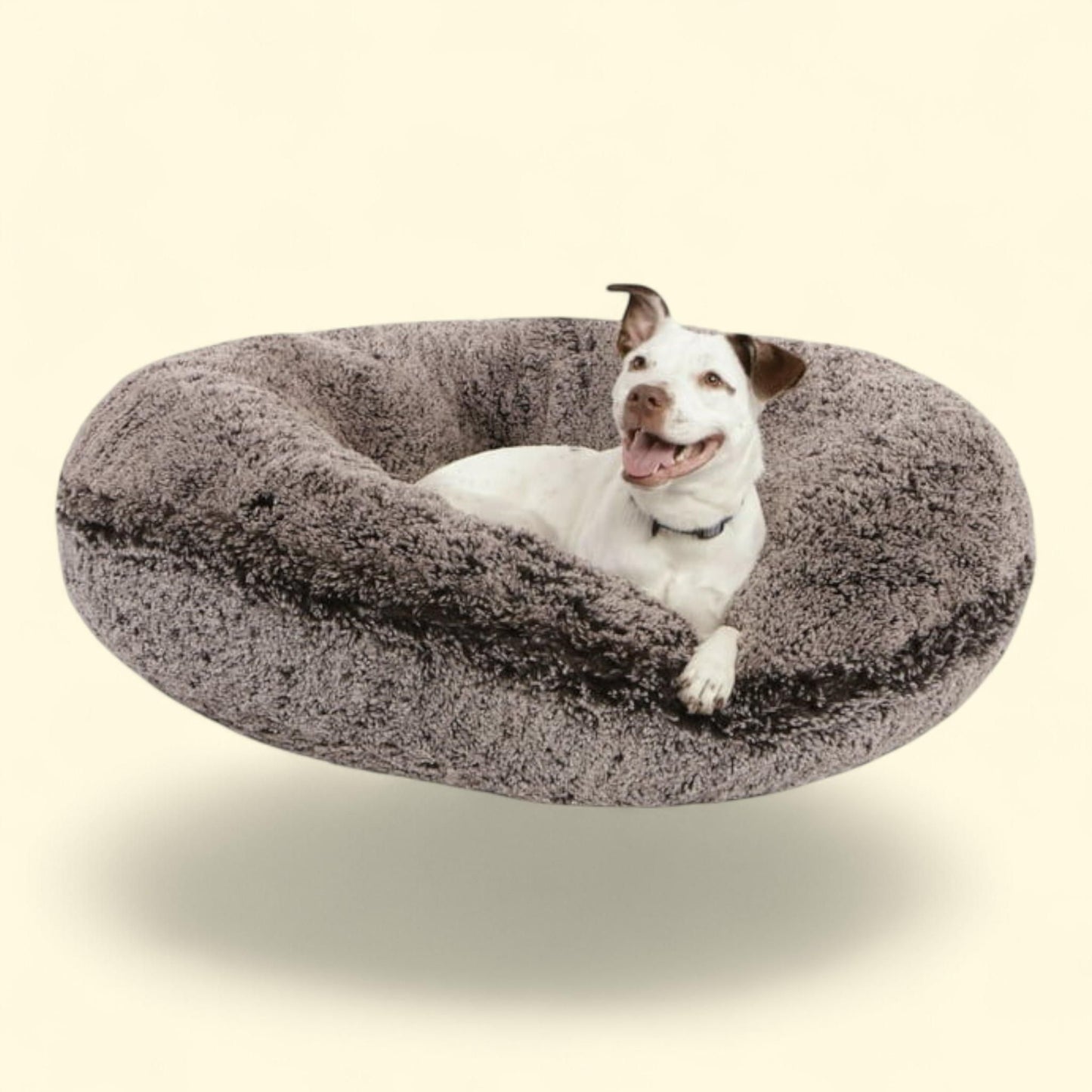 Signature Luxury Shag Bagel Pet Bed, Extra Plush, Frosted Willow, S... — authentic US product shipped worldwide by Treatspree