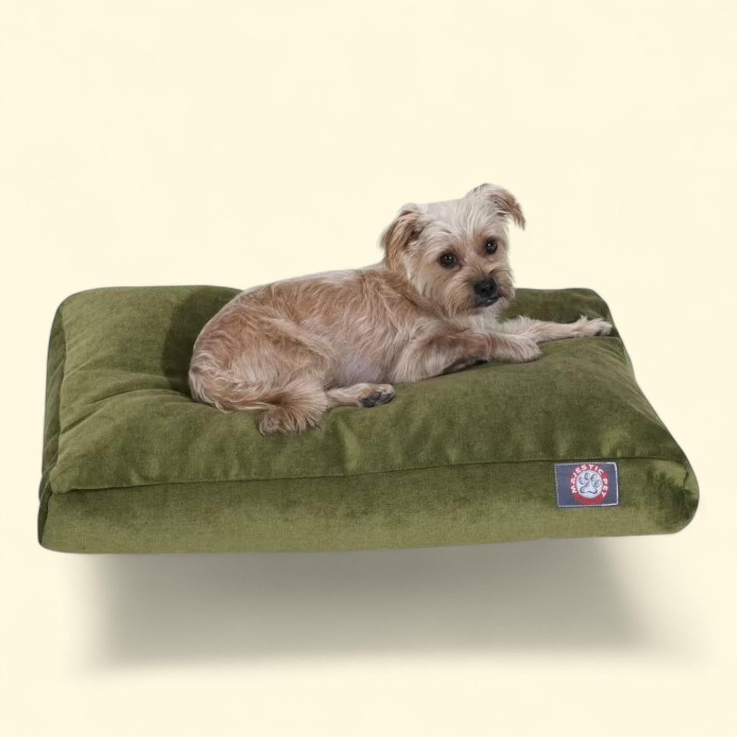 Majestic Pet | Lit pour animal de compagnie Villa Velvet en mousse à mémoire de forme déchiquetée, taille moyenne