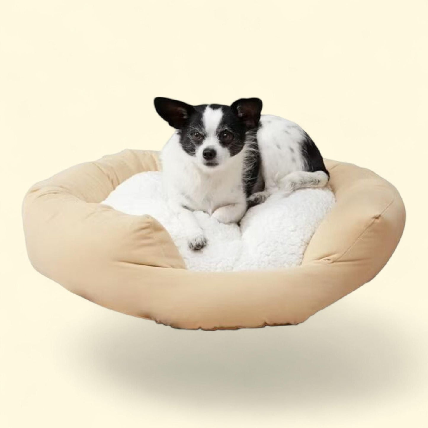 Lit pour chien Happy Hounds Murphy Deluxe en forme de beignet, petit format (61 x 61 cm)