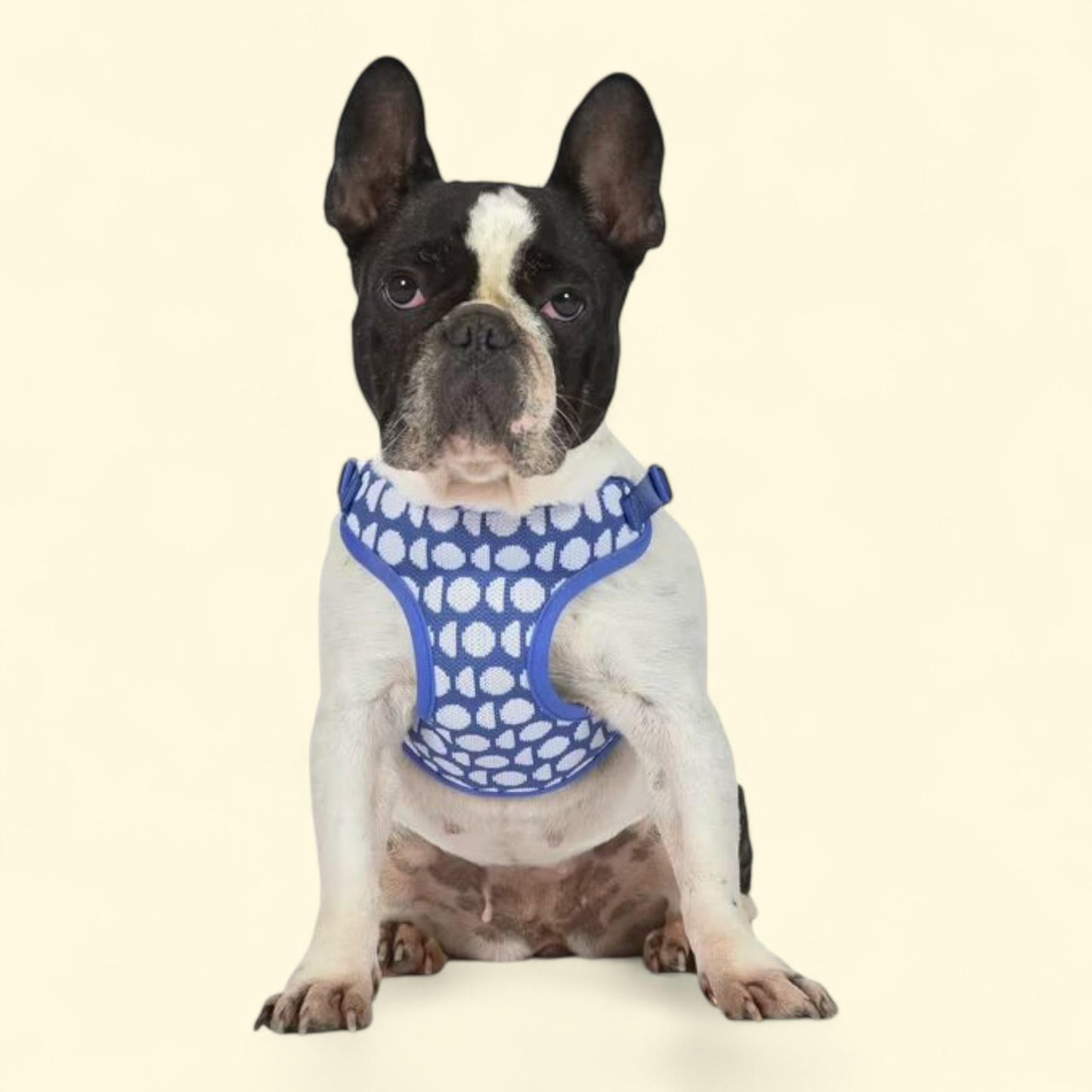 Dodo Step-in Style Pet Harness, Small