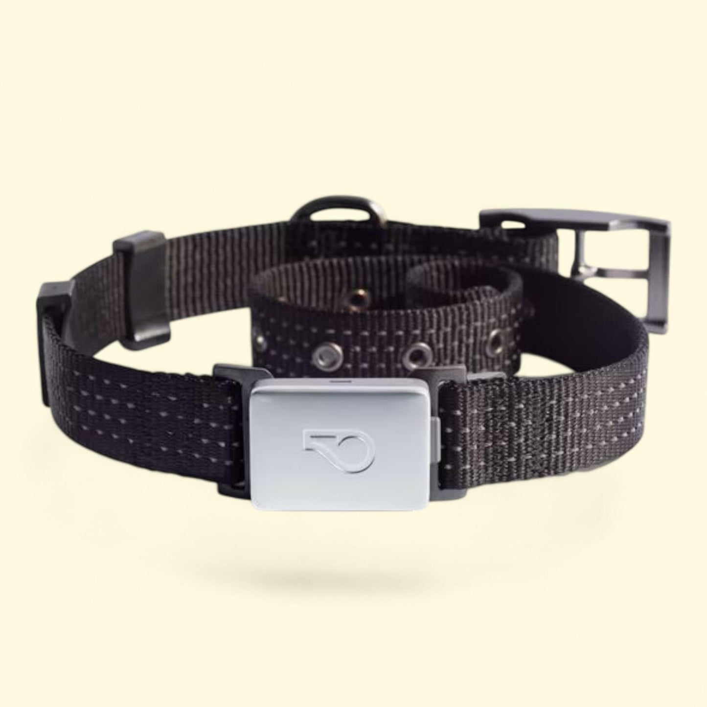 Whistle Switch Smart Collar Kit, Shadow (Black), S/M — authentic US product shipped worldwide by Treatspree