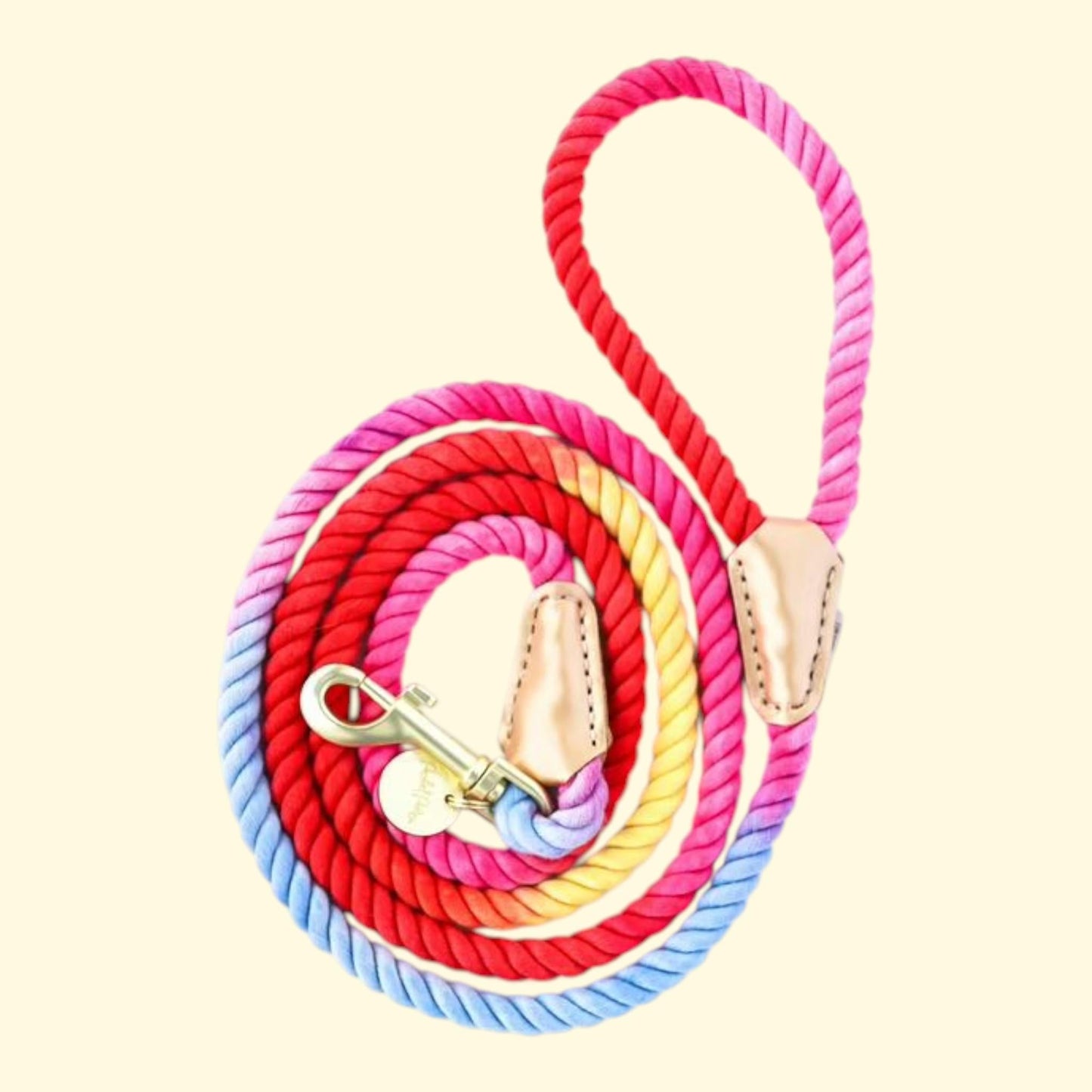 Packed Party Hold It! Rainbow Rope Dog Leash — authentic US product shipped worldwide by Treatspree