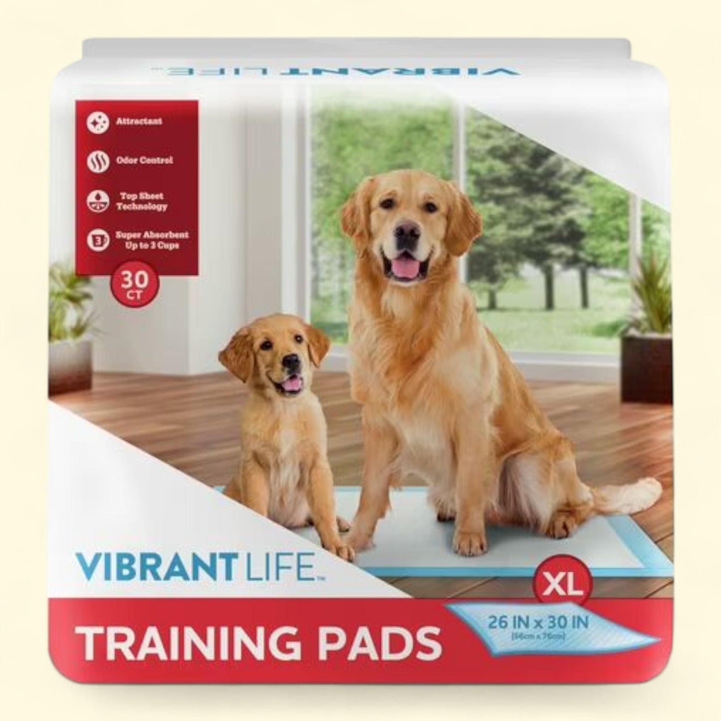 Coussins d'entraînement Vibrant Life, XL, lot de 30
