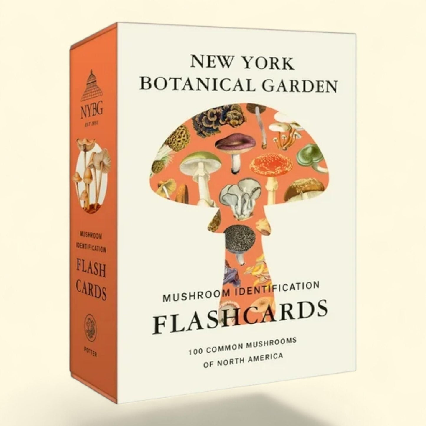New York Botanical Garden Mushroom Identification Flashcards, 100 Common Mushrooms of North America