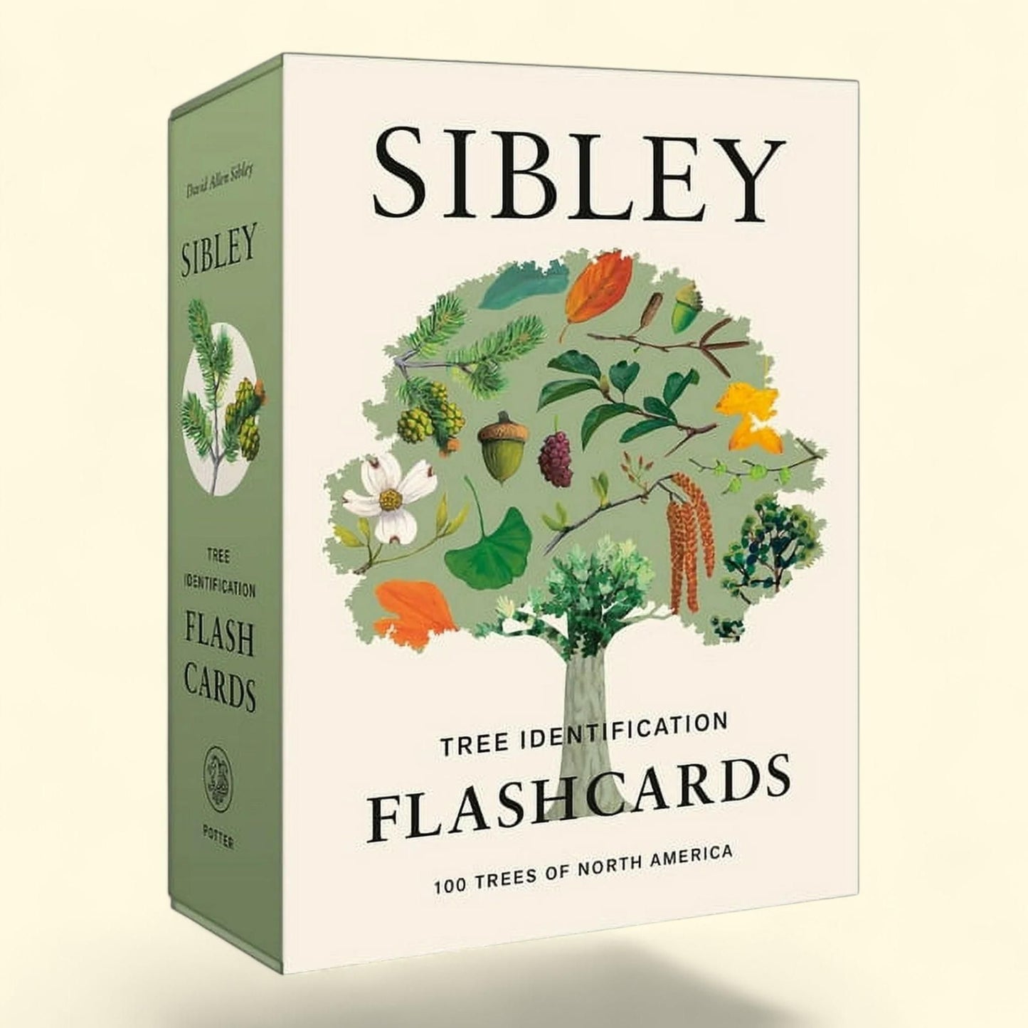 Sibley Tree Identification Flashcards, Standard Size