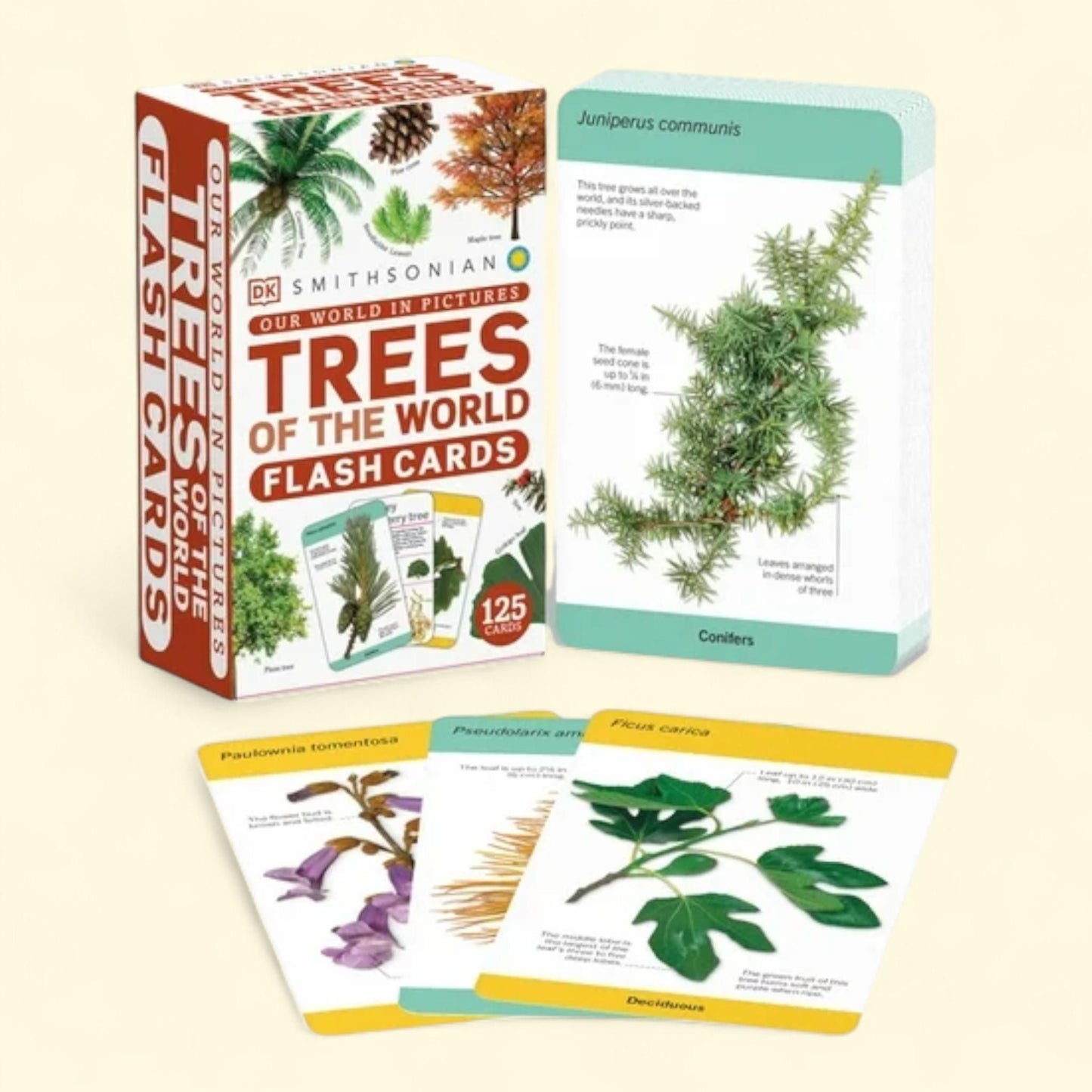 Our World in Pictures Trees of the World Flash Cards, One Size