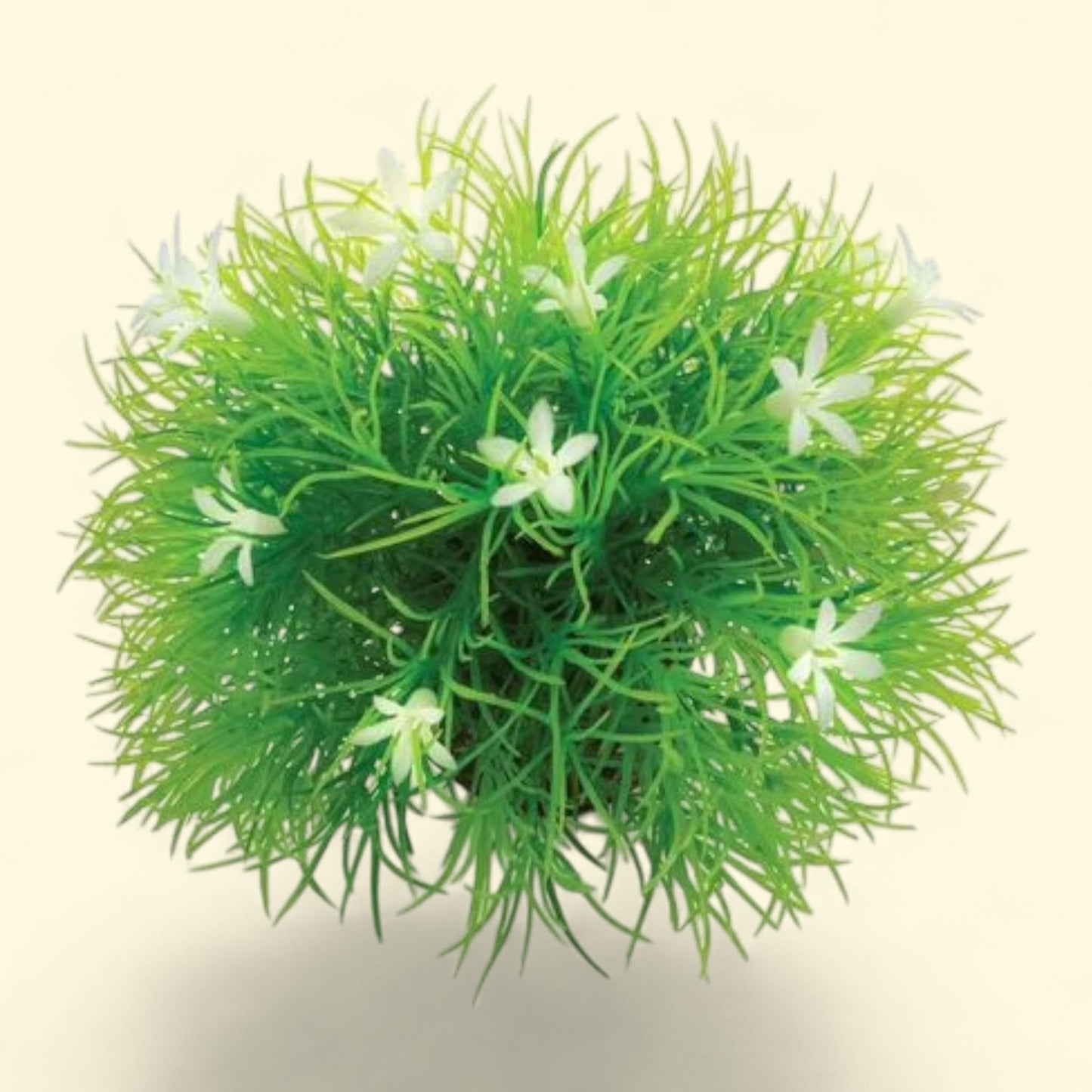 Bouquet de fleurs biOrb avec des marguerites, 11 cm