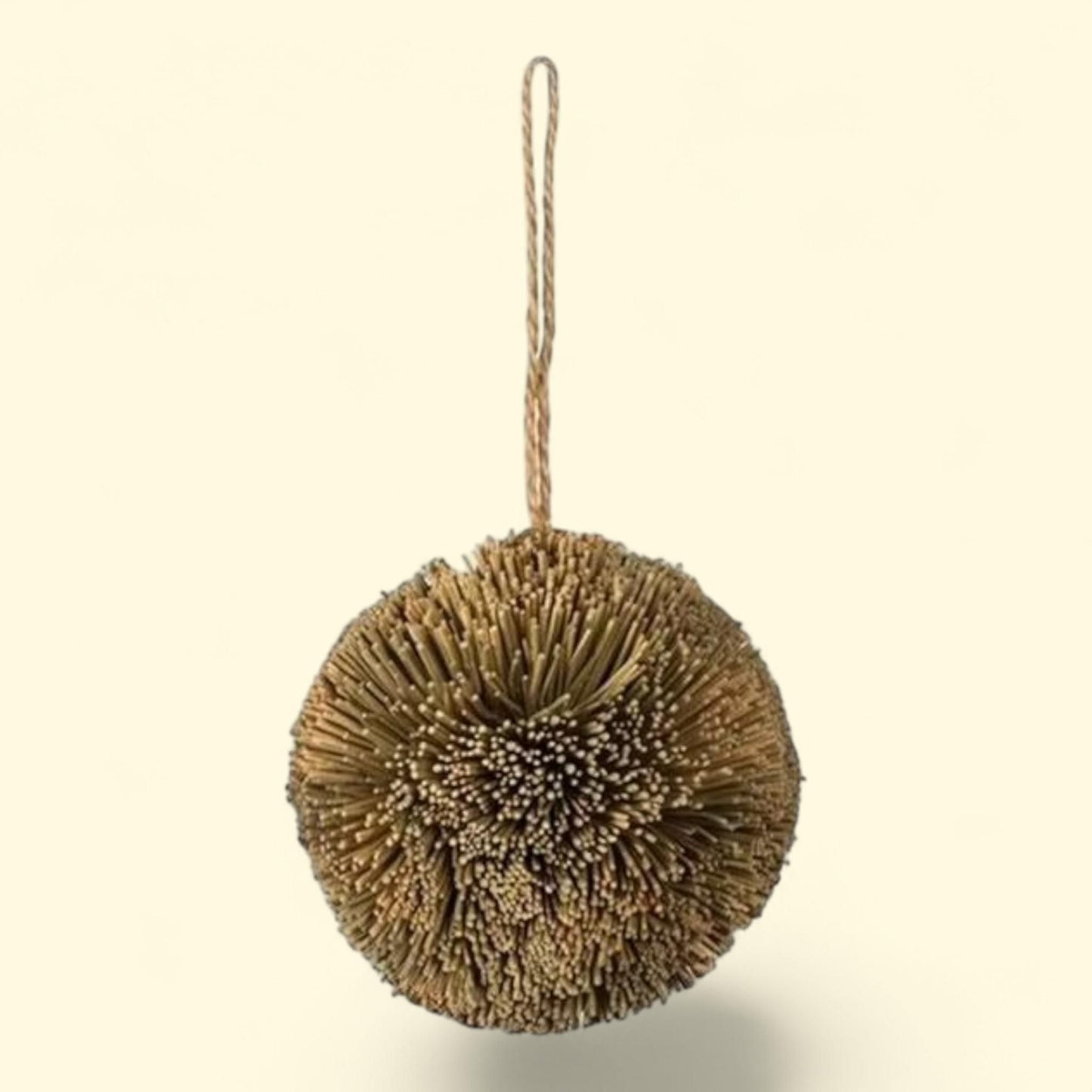 Balle d'activité « Grassy Nibblers » de Prevue Pet Products, 1090