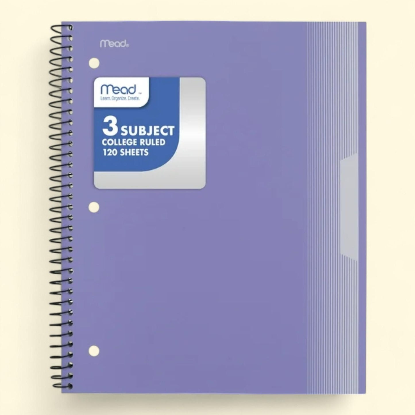 Initial G Composition Notebook, Pink Flamingo, Wide Ruled, Paperback