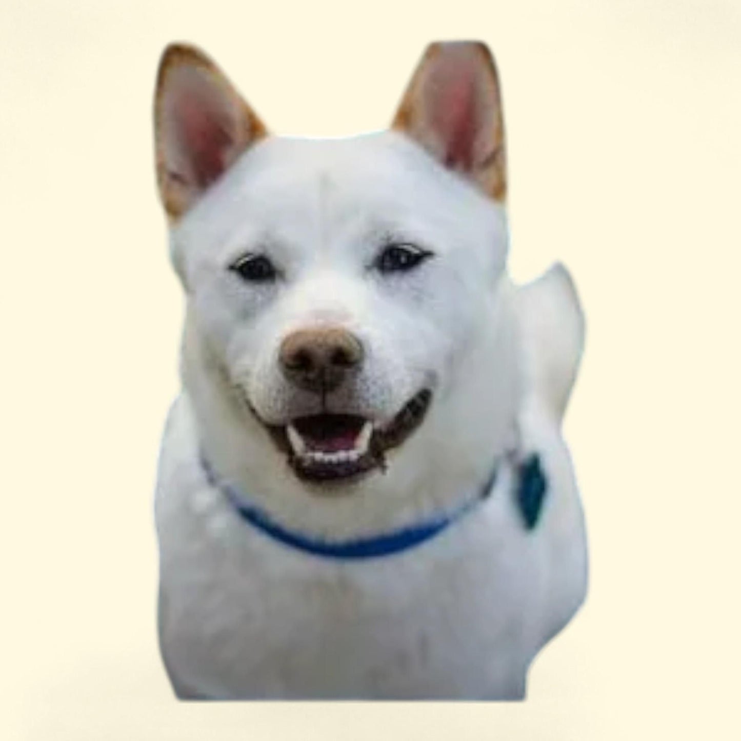 Graph Paper Composition Notebook, Math and Science Lover, Quad Ruled 5 squares per inch, 100 pages