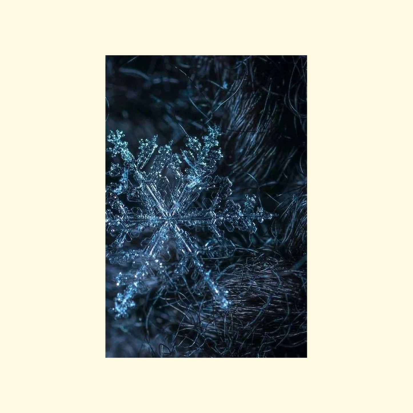 Close-up of a snowflake on a beige background