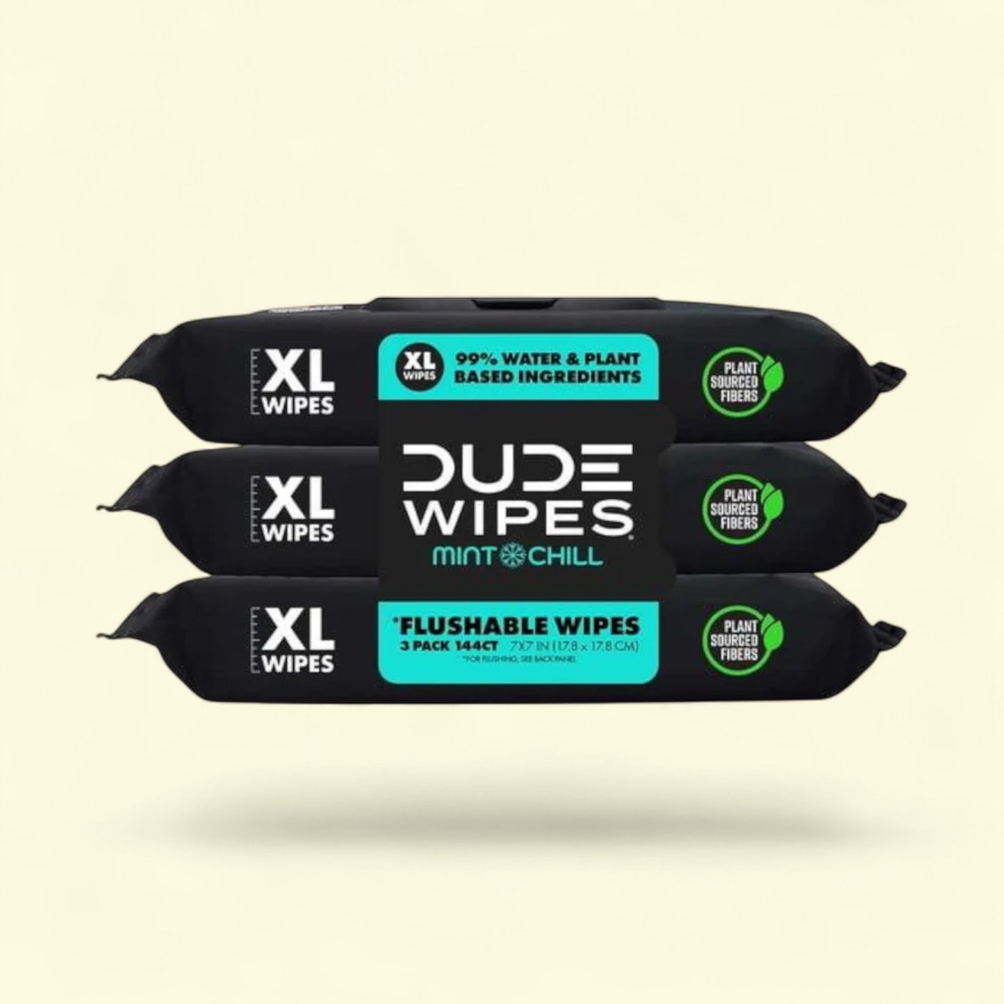 Dude Wipes Mint Chill Flushable Wipes, 3 Pack of 48 Wipes