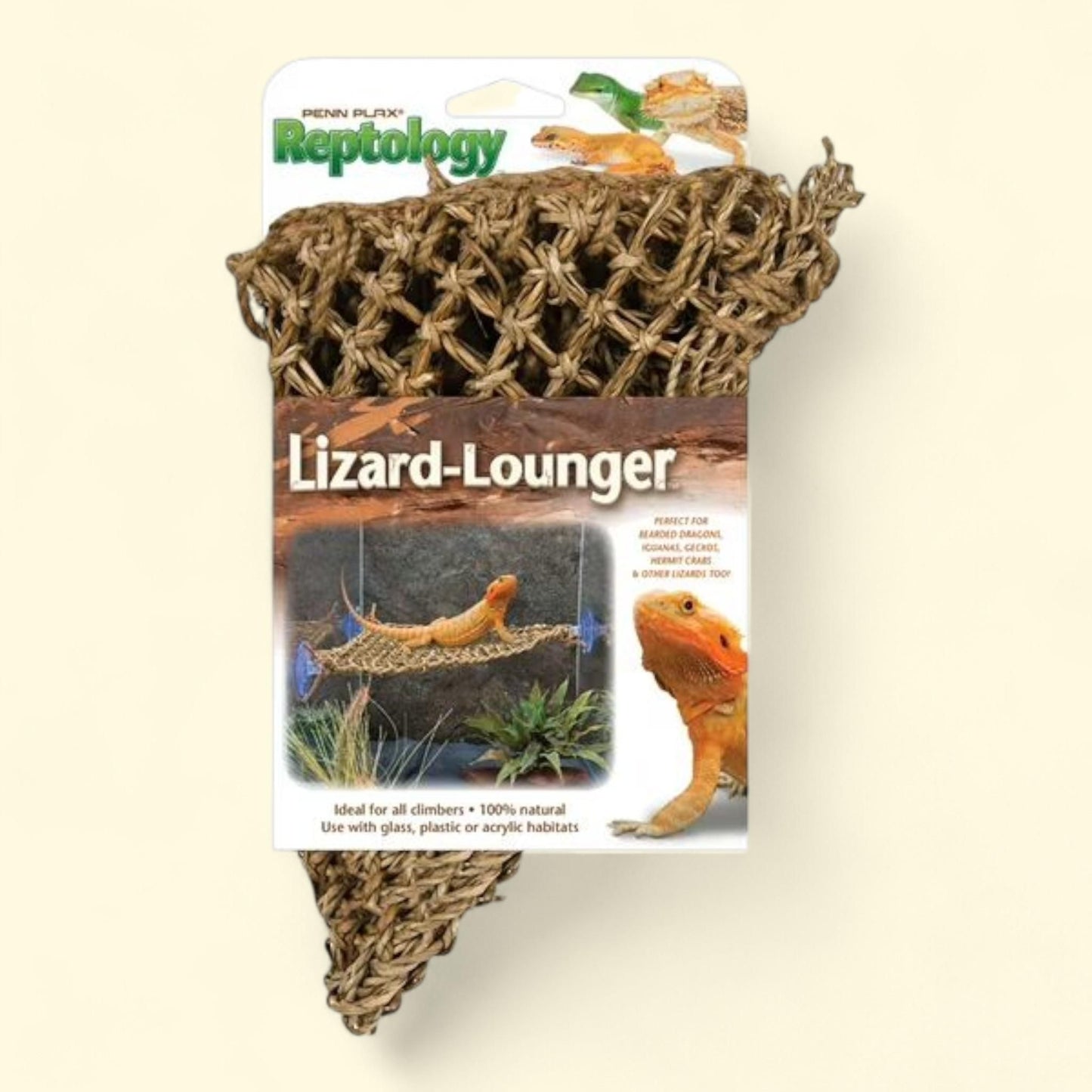 Décoration pour terrarium Penn-Plax Reptology Lizard Lounger, coin triangulaire, petit format