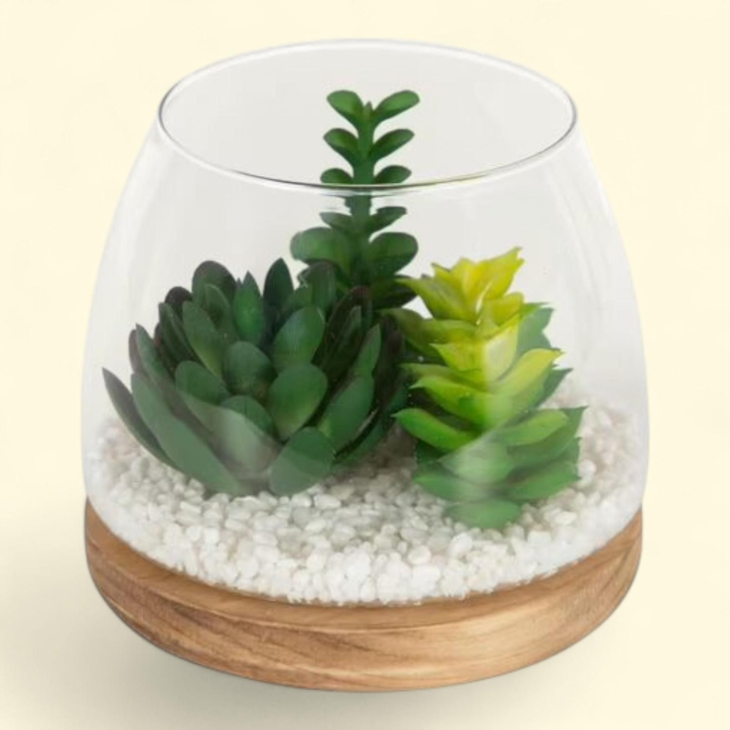 Mainstays Tabletop Faux Succulent Glass Terrarium, 5"