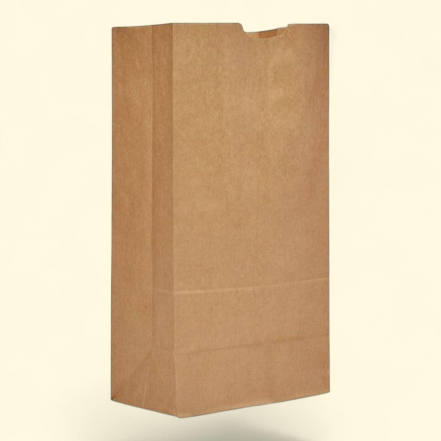 General Standard Paper Grocery Bags, 500 count