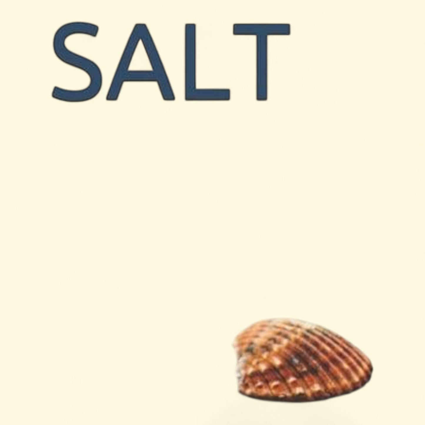 Salt, Paperback, 1 ct