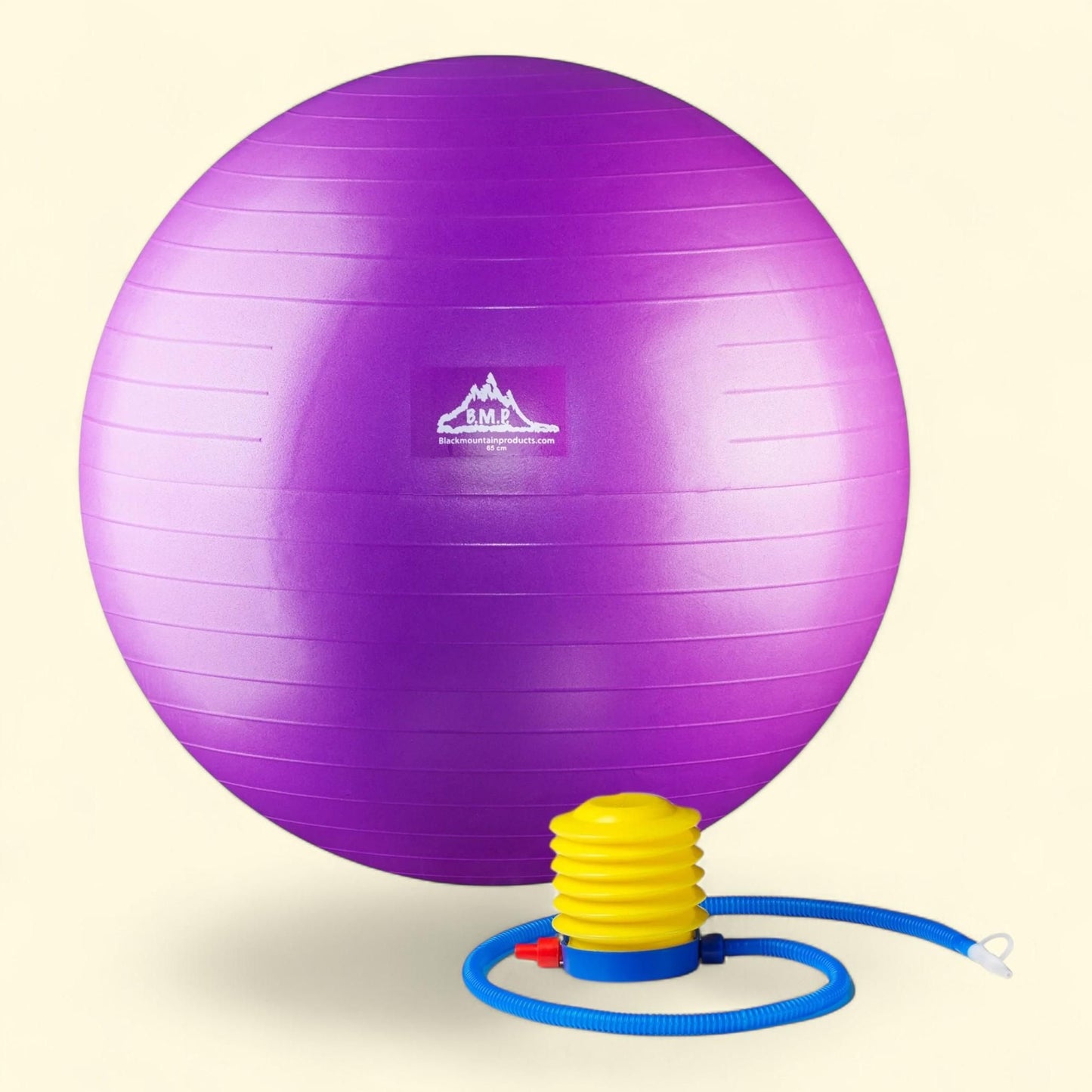 Black Mountain Products Stability Ball, 65cm Purple