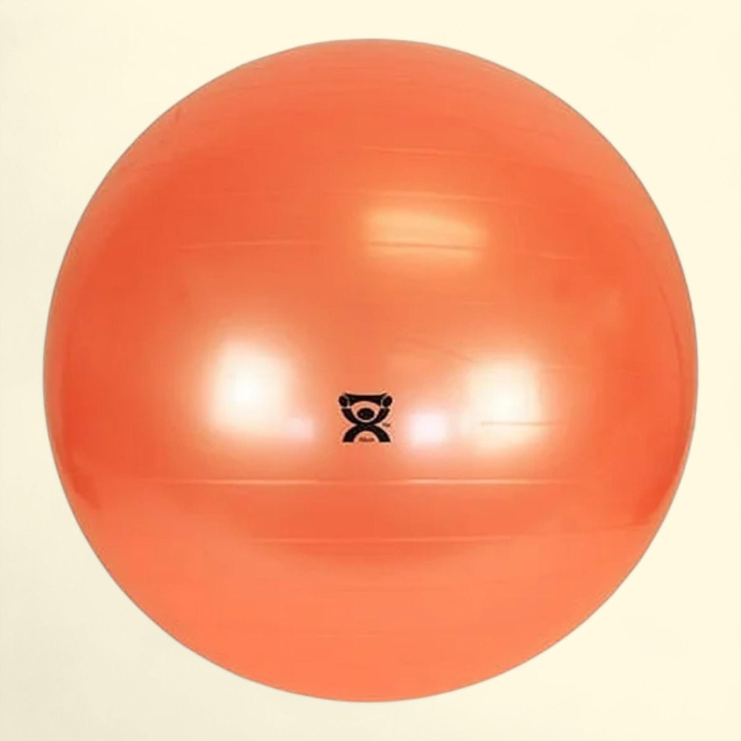 CanDo Stability Exercise Yoga Ball, 22" (55 cm)
