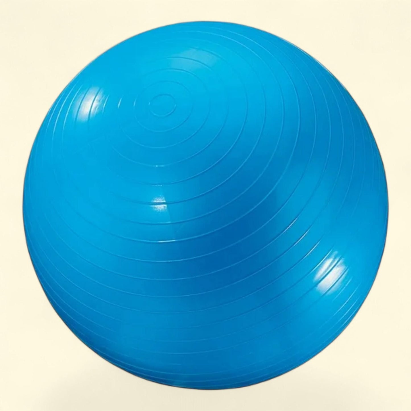 DICK MARTIN SPORTS Exercise Ball 24In Blue