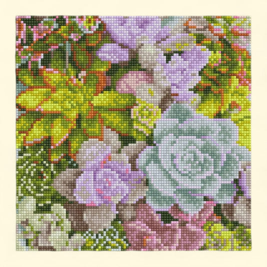 DIAMOND DOTZ, Succulents in Bloom Diamond Painting Kit, 1 count