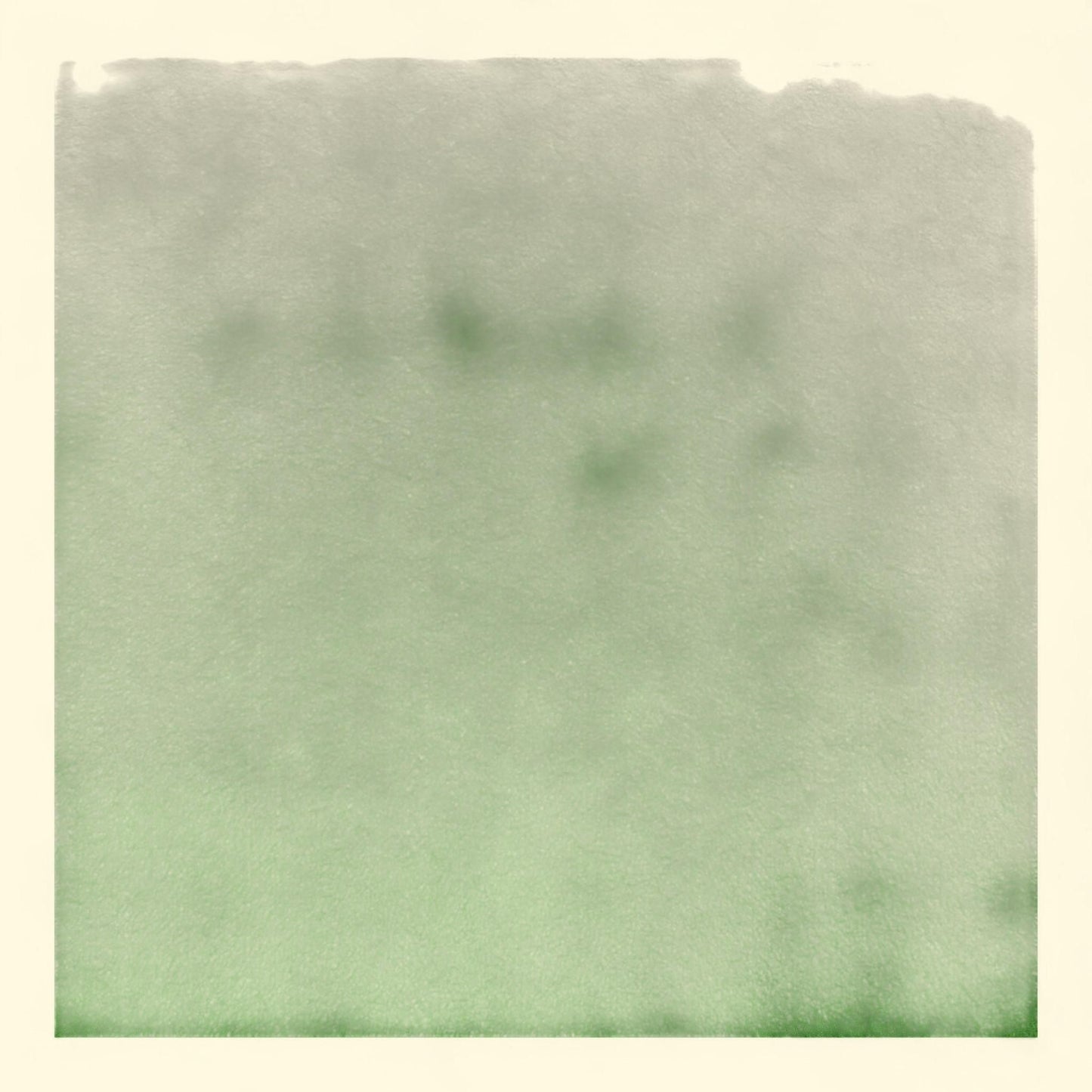 Singer Fabric, Felt Green, 100% Polyester, 36 In